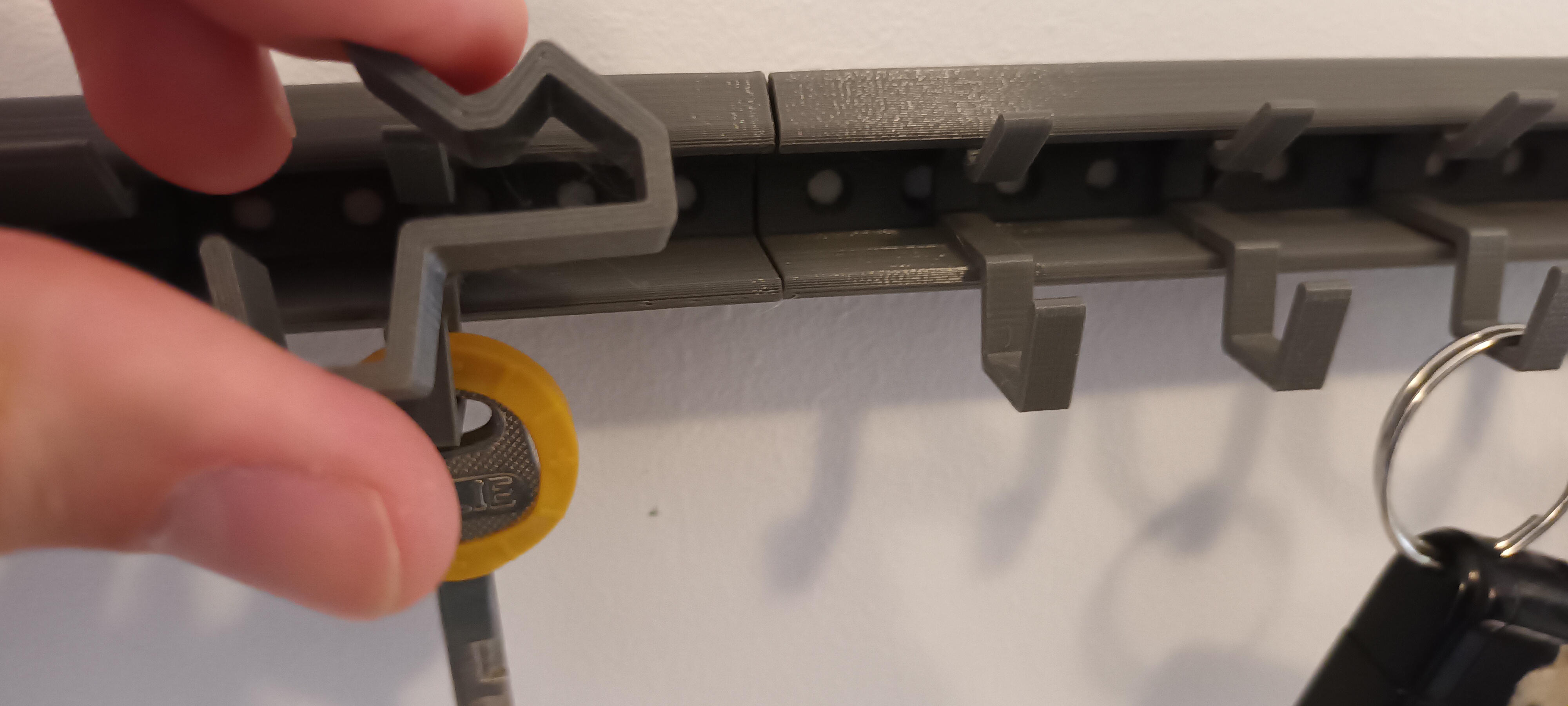 Modular clips rail storage system - photo 3