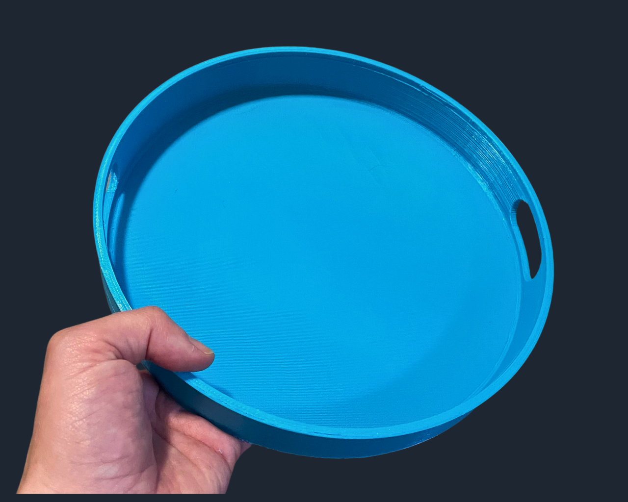 Carry Tray for Bambu Filament Swatch Spinner (100 slots) - photo 2
