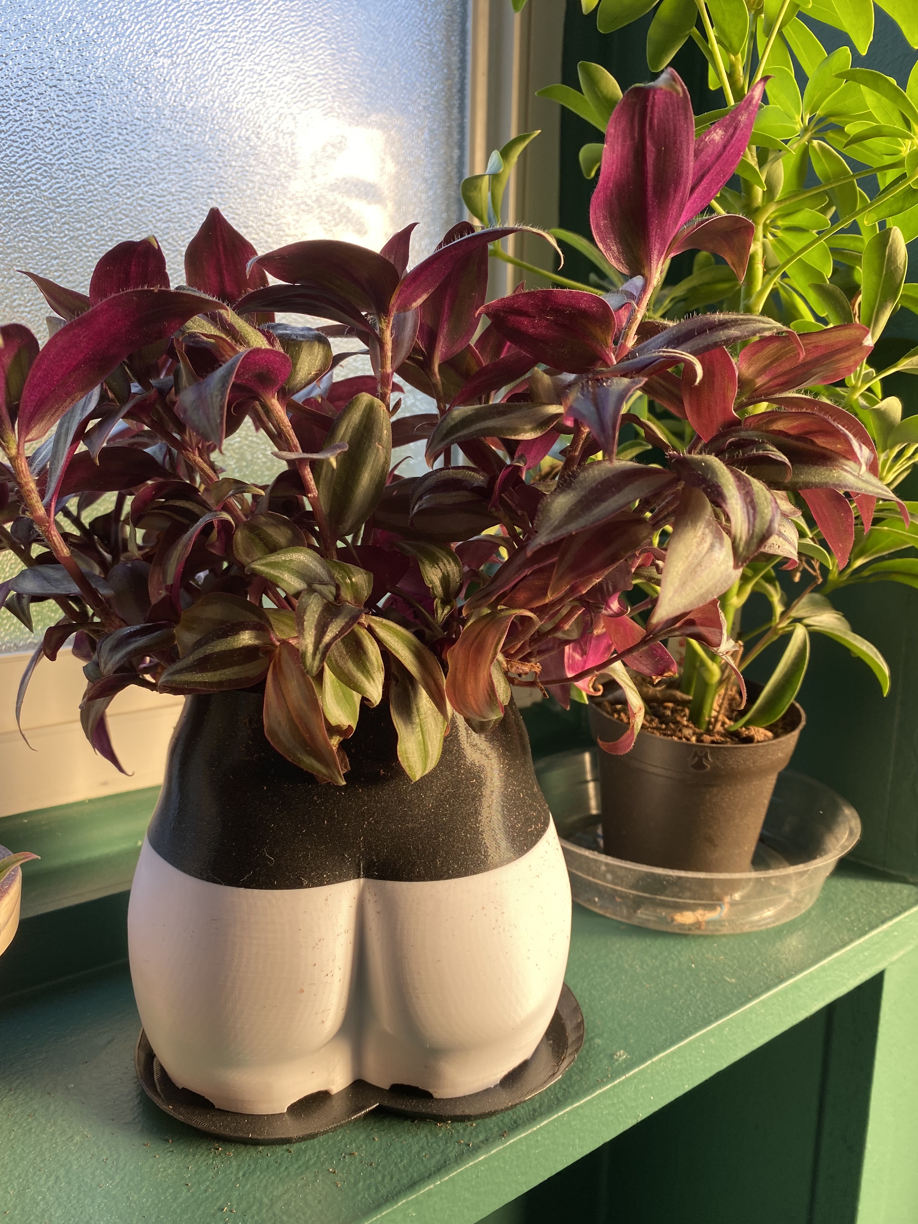 Butt planter