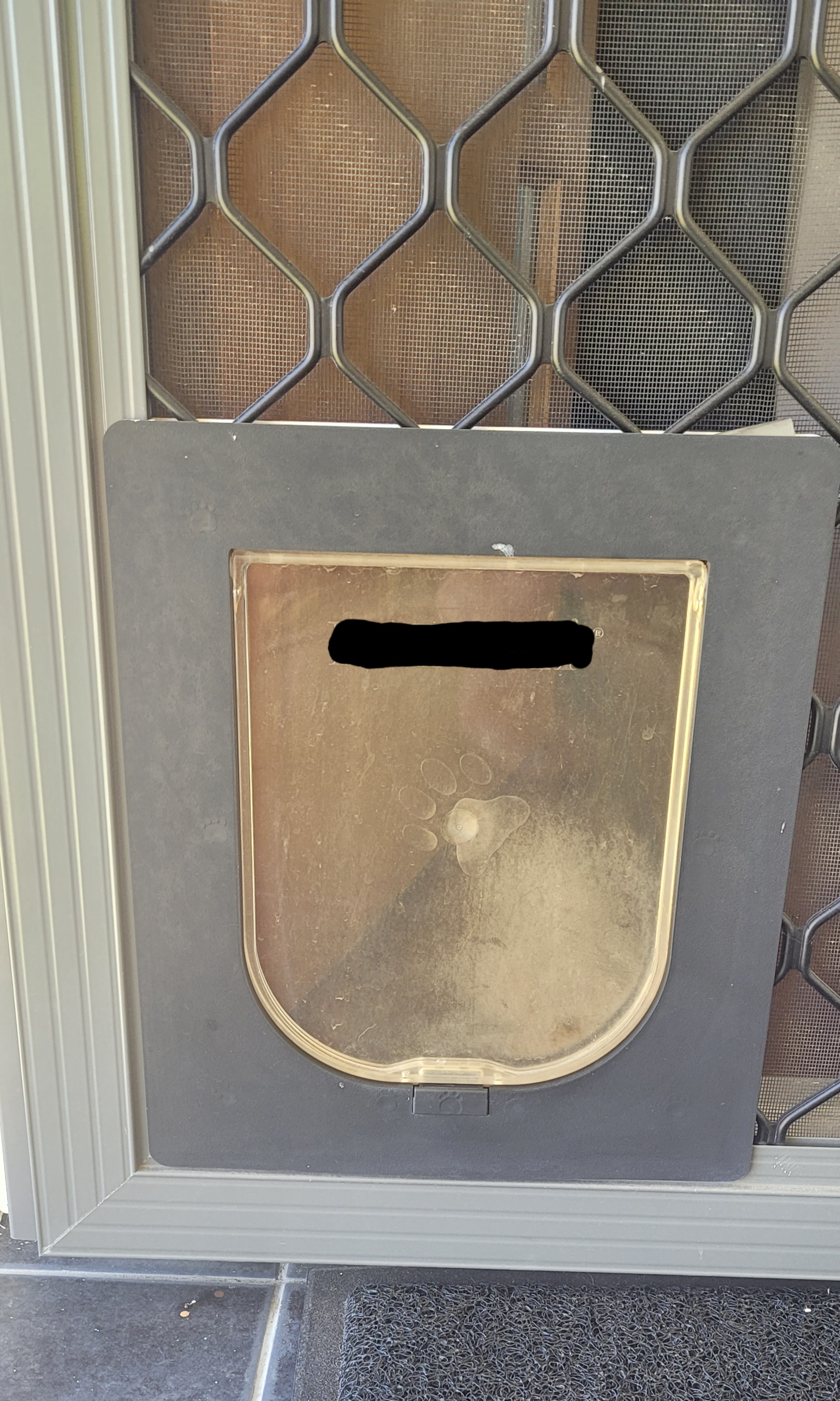 cat / dog door