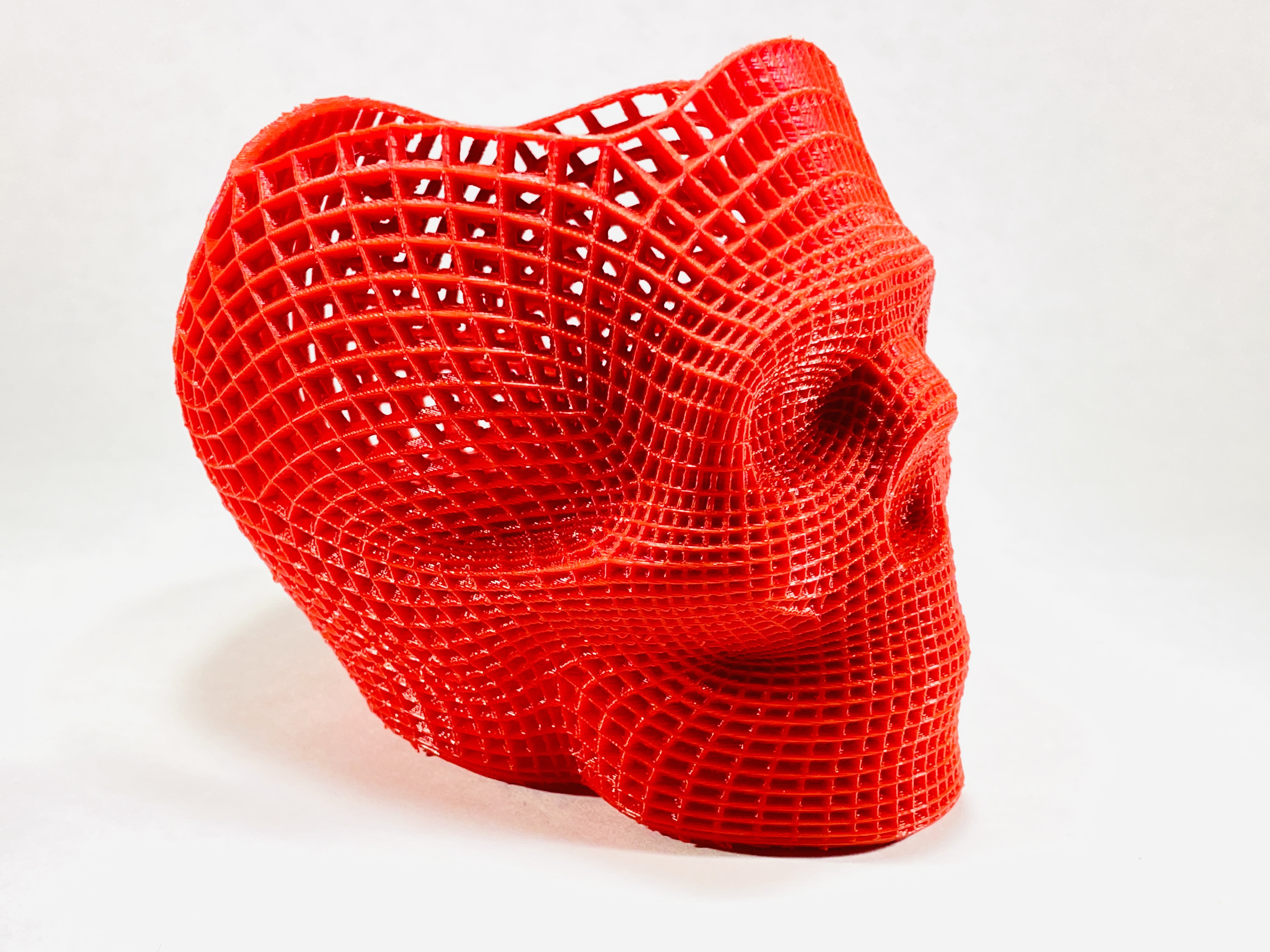 Skull Vase (Remeshed) - photo 2