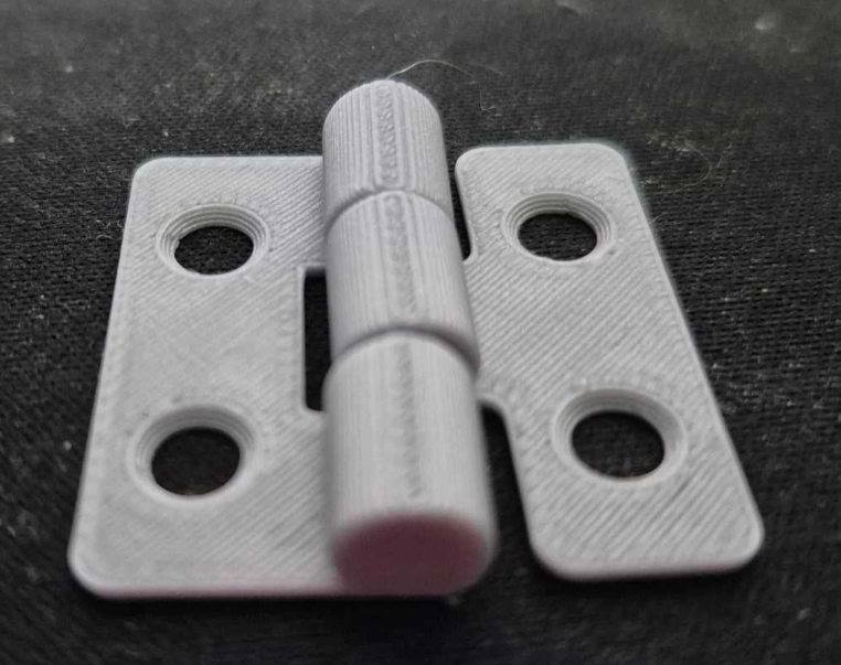 Hinge Print in place