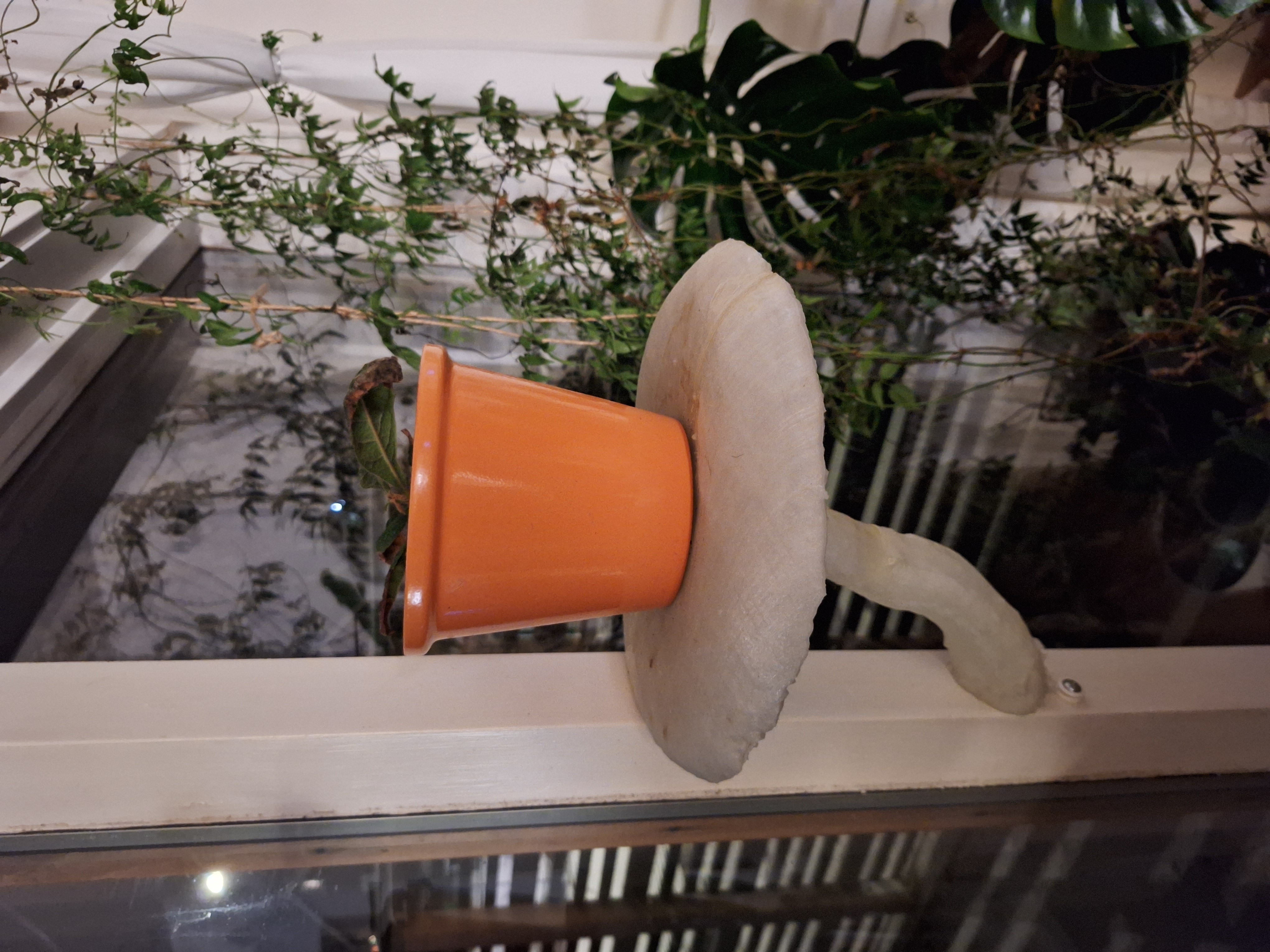 Lifelike Mushroom Shelf - photo 2