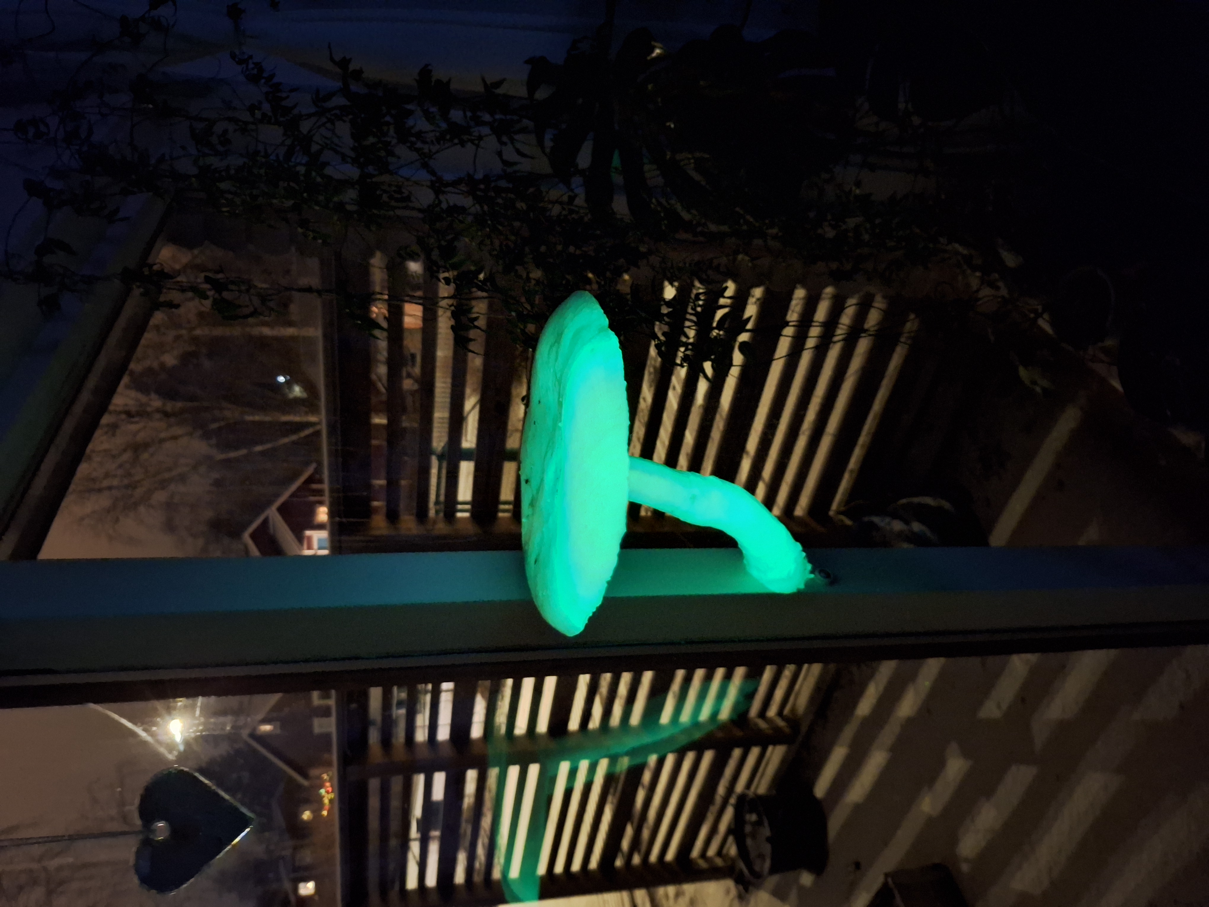 Lifelike Mushroom Shelf - photo 3