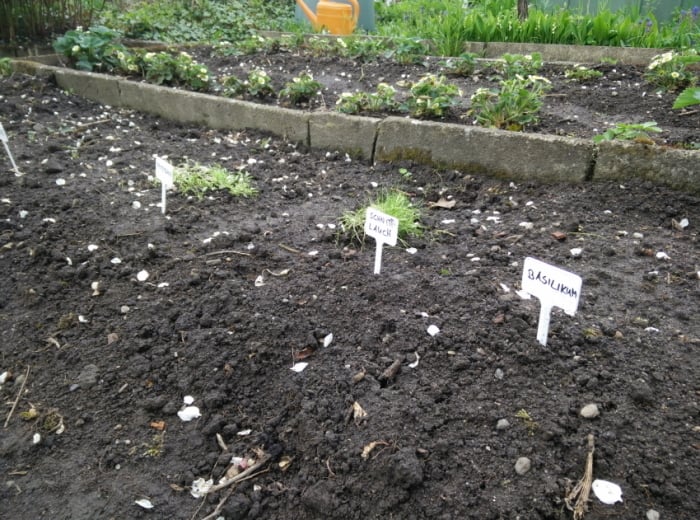 Garden Plant Label - photo 2