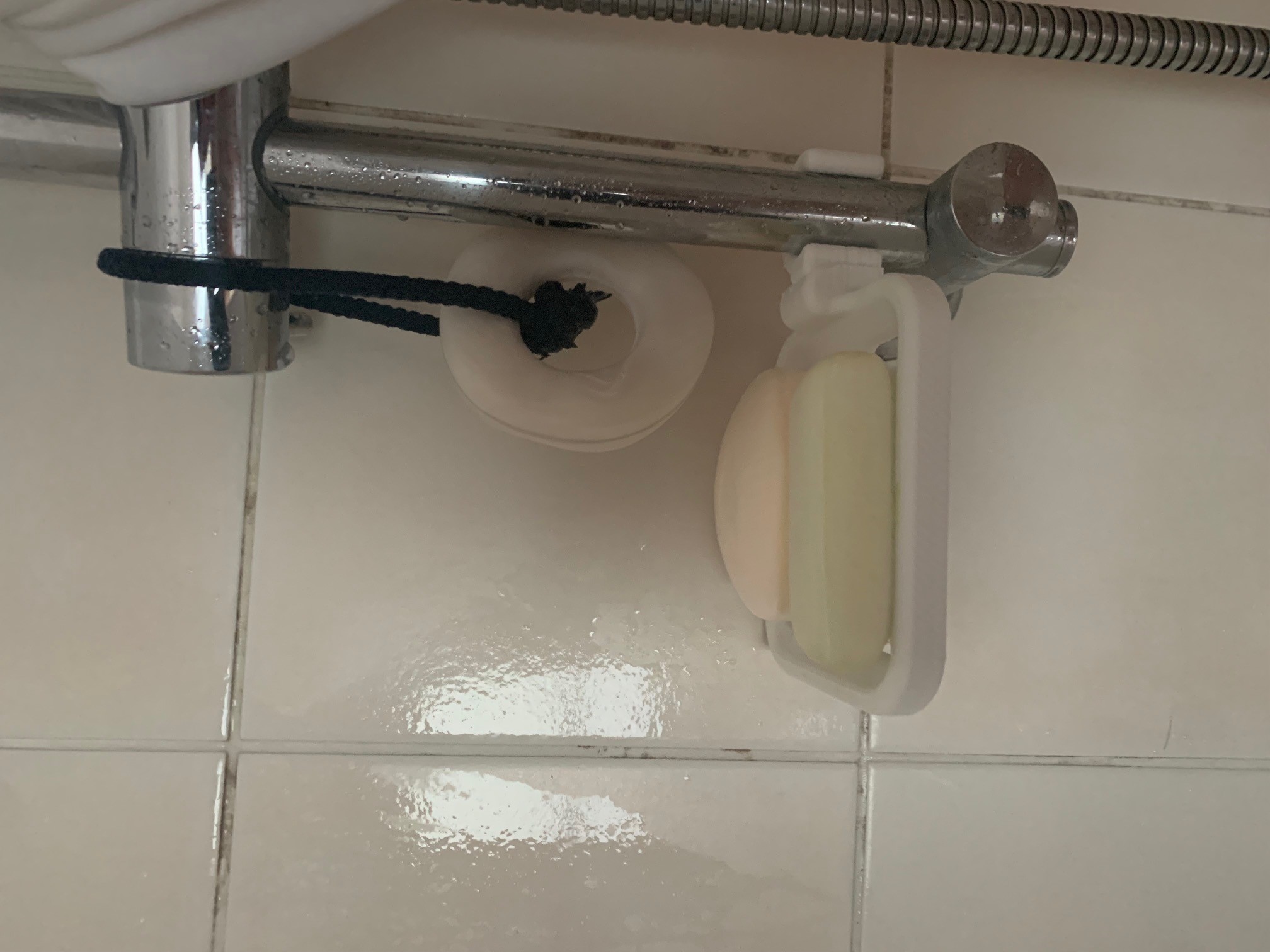 Soap Dish