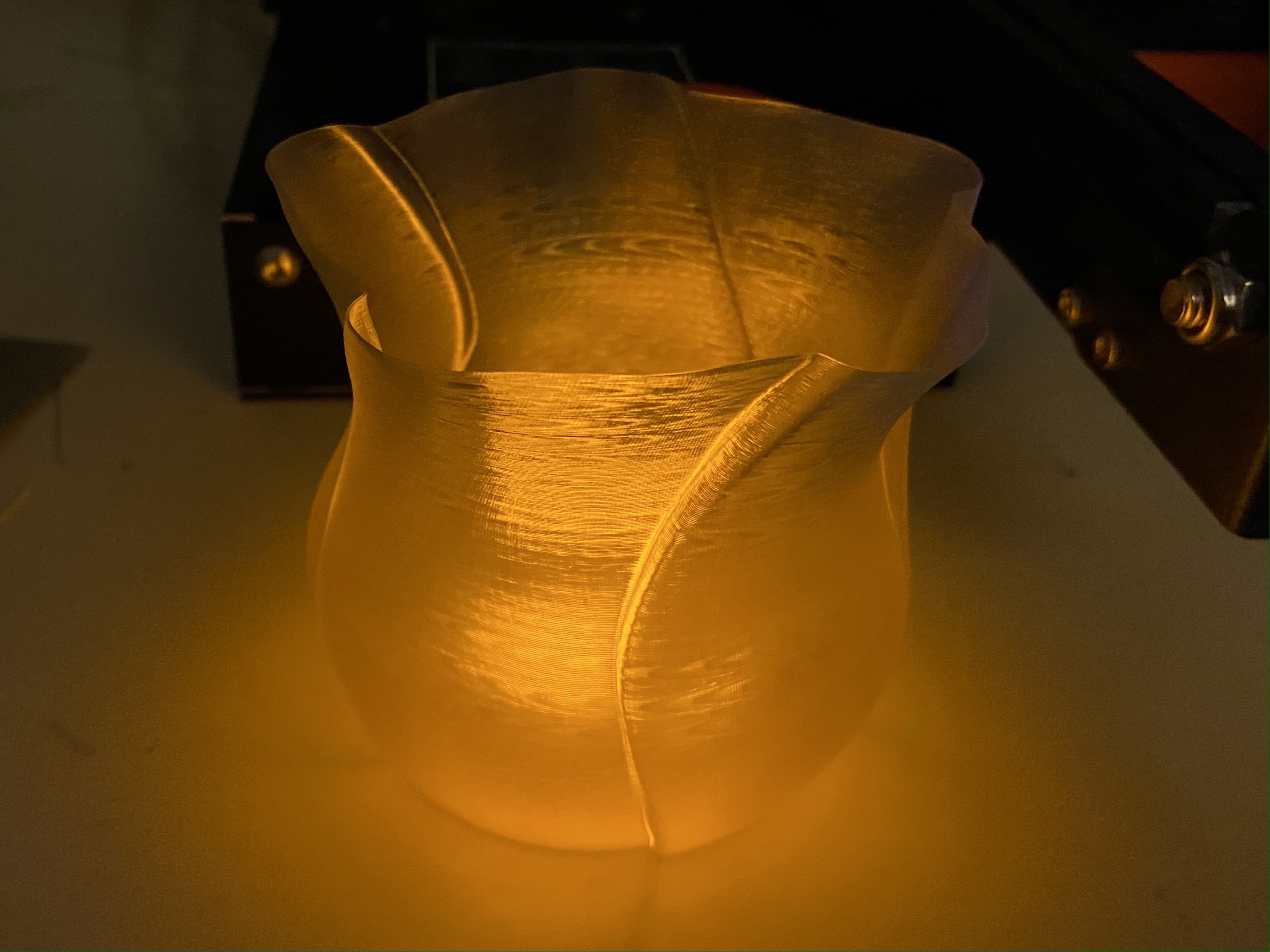 Container Version of Vase Rose - photo 2