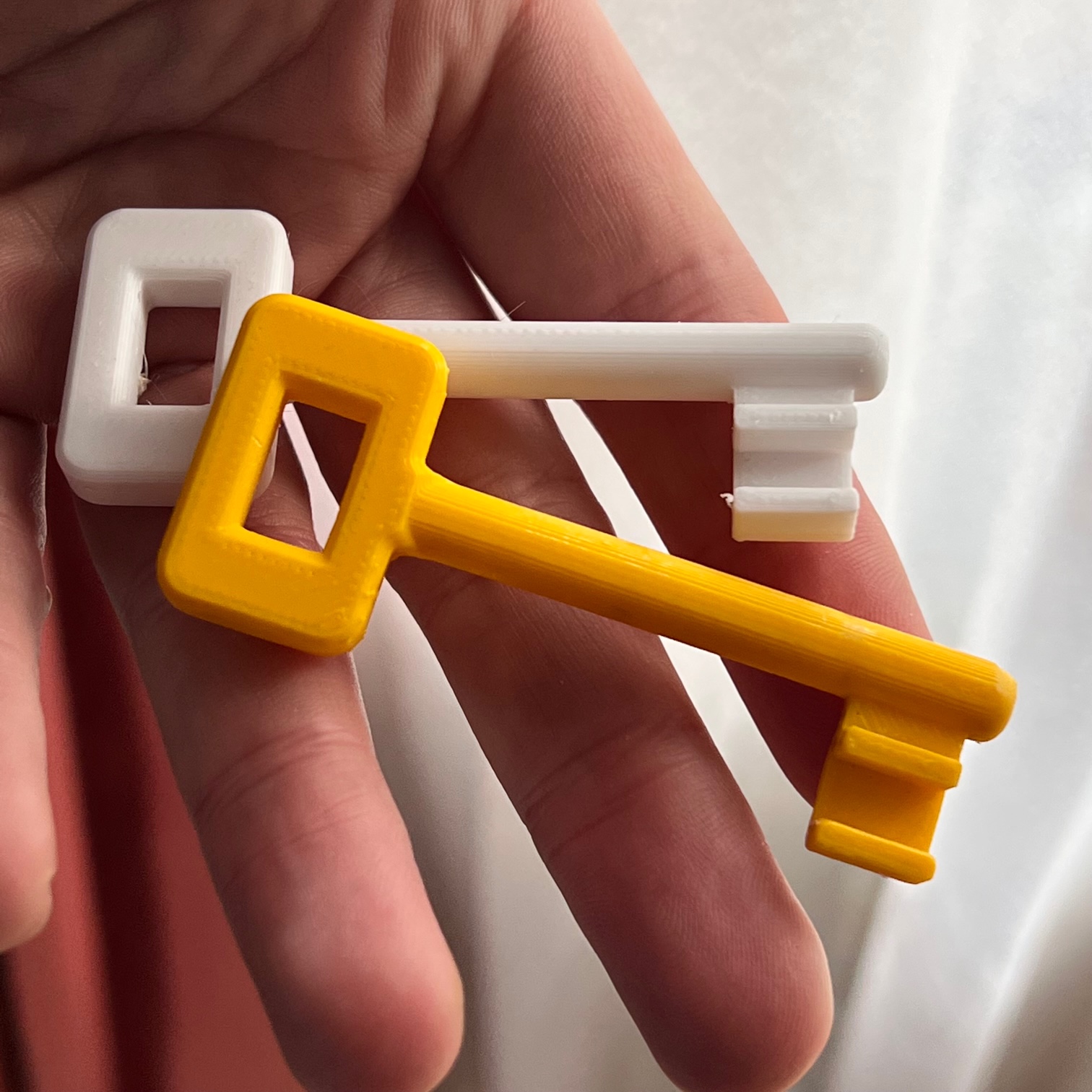 Generic Door Key