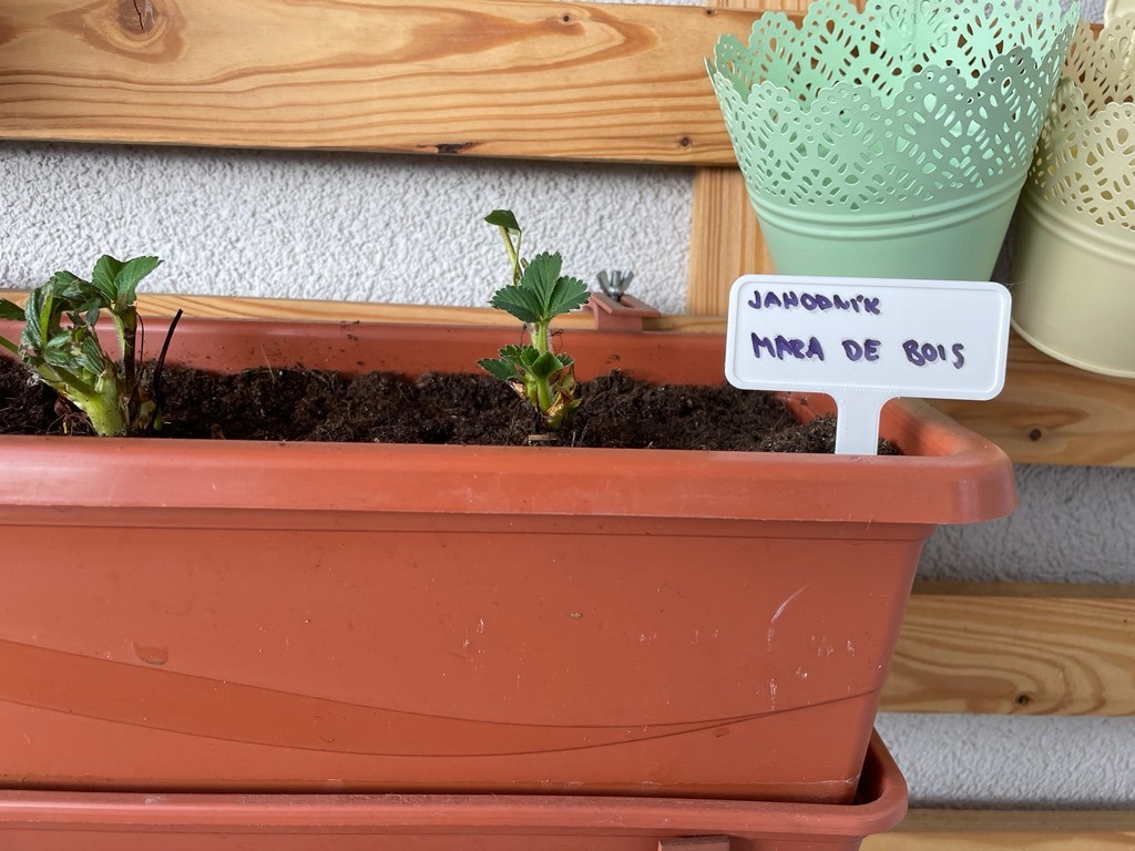 Simple garden plant marker