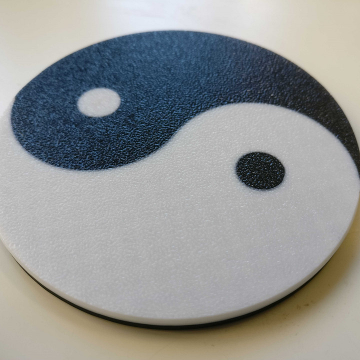 Yin and Yang Coaster - photo 3