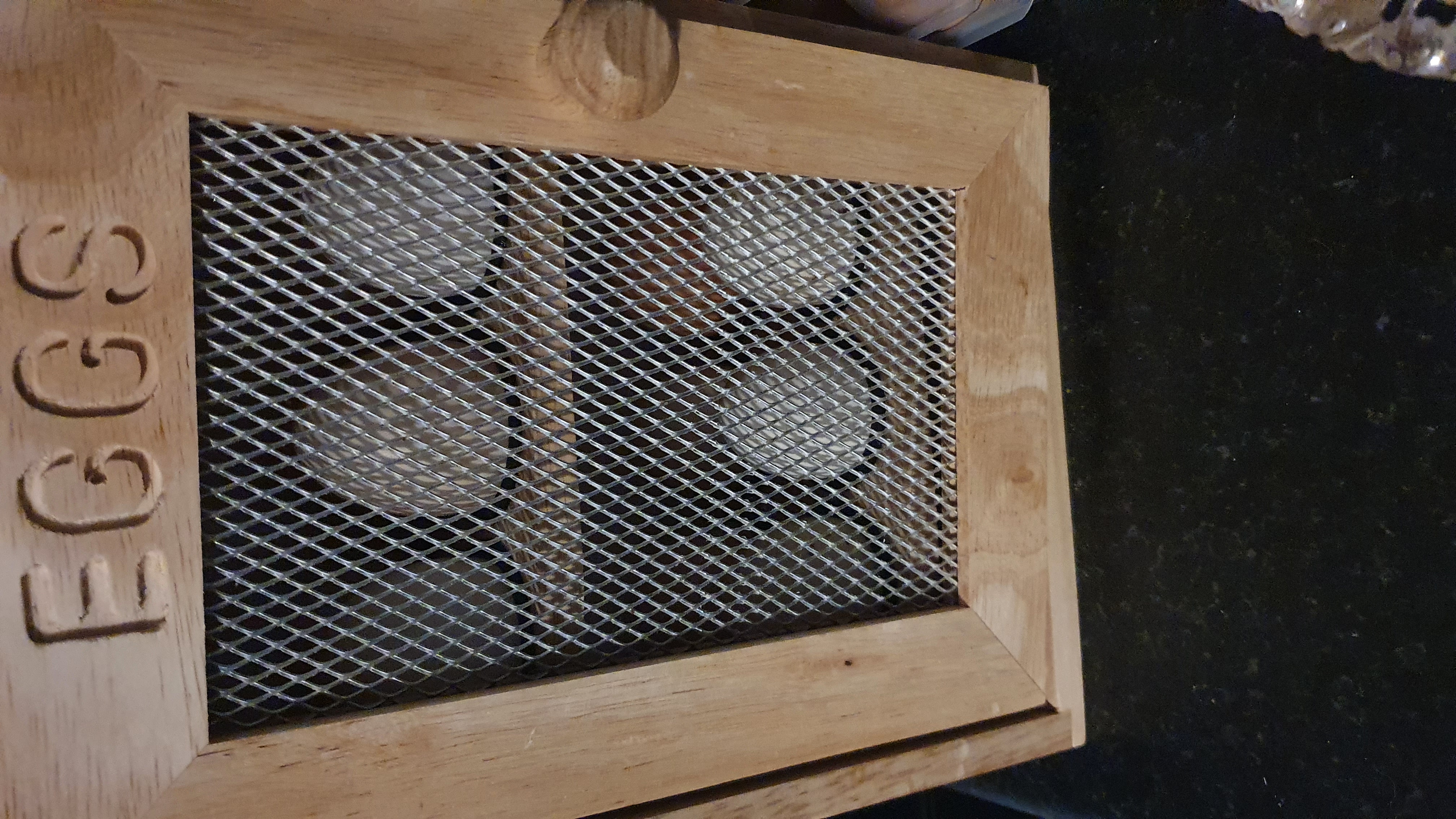 Small Egg Storage Washer - photo 3
