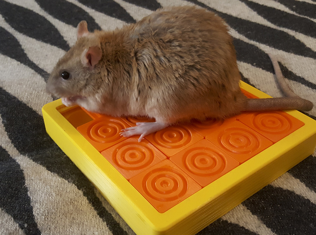 (Pet Enrichment Toy)  Sliding Tiles Puzzle - photo 3