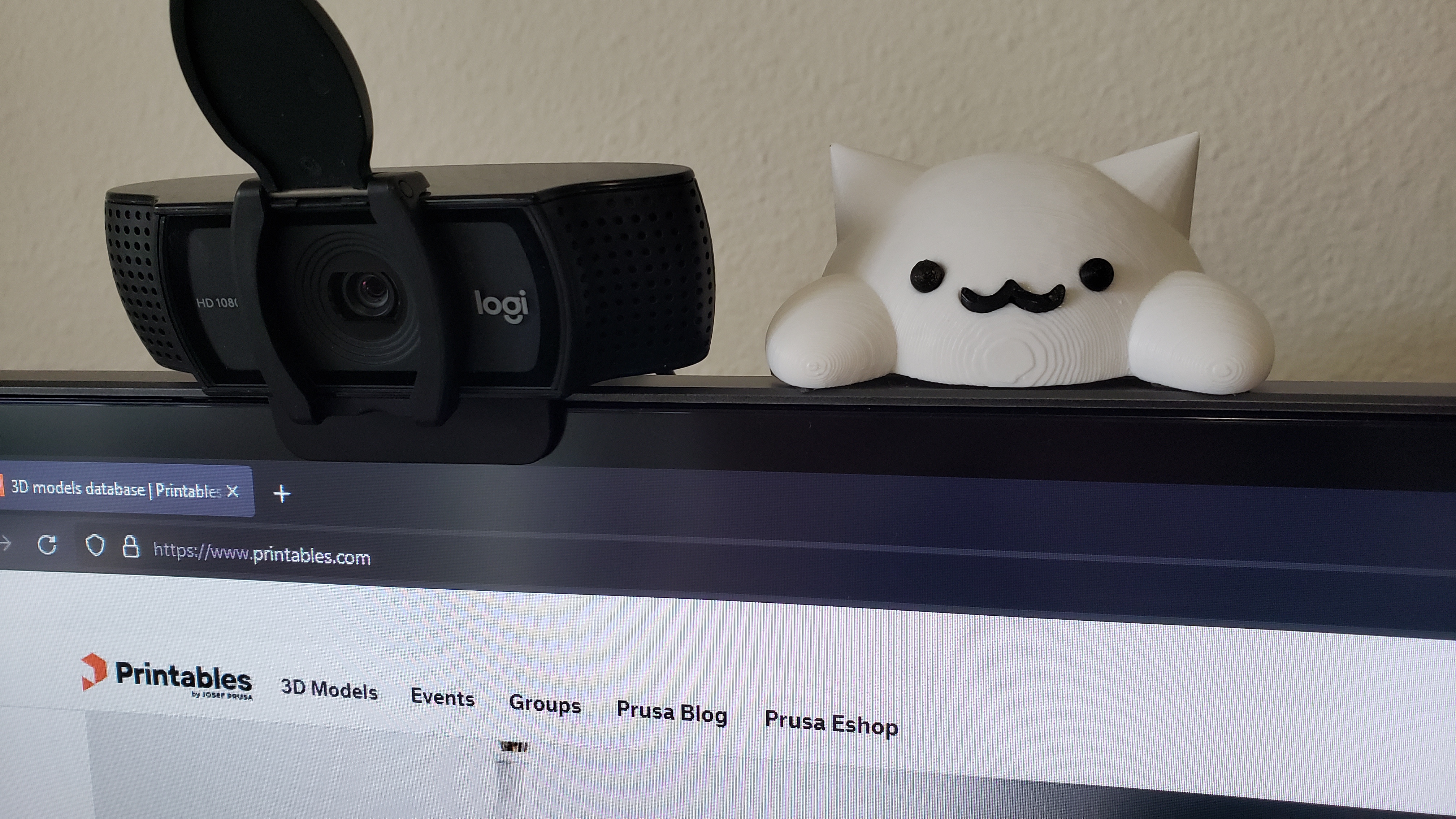 Bongo Cat Monitor Mount, Cute Webcam Kitty Buddy