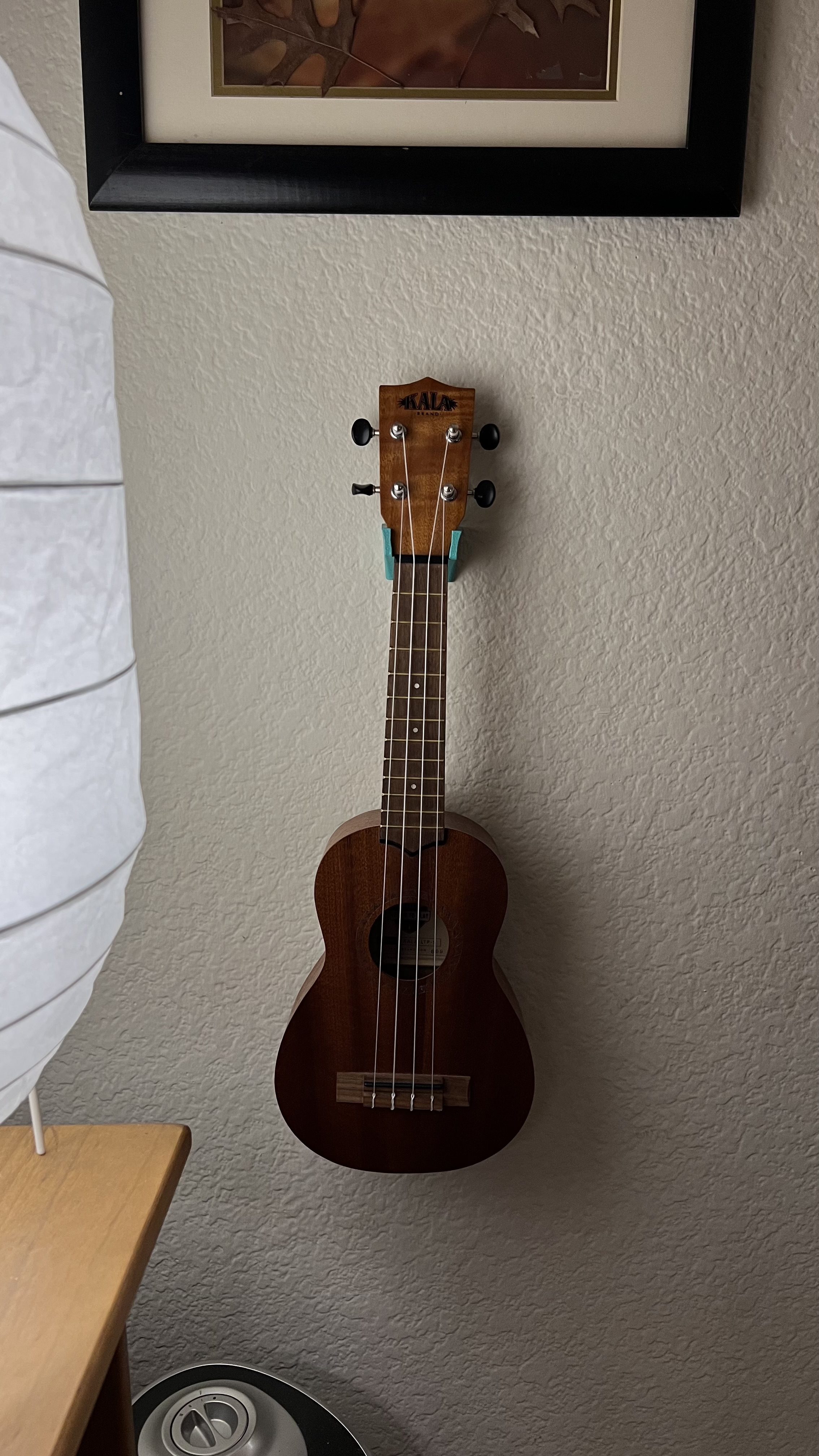 Ukelele Hook - photo 3