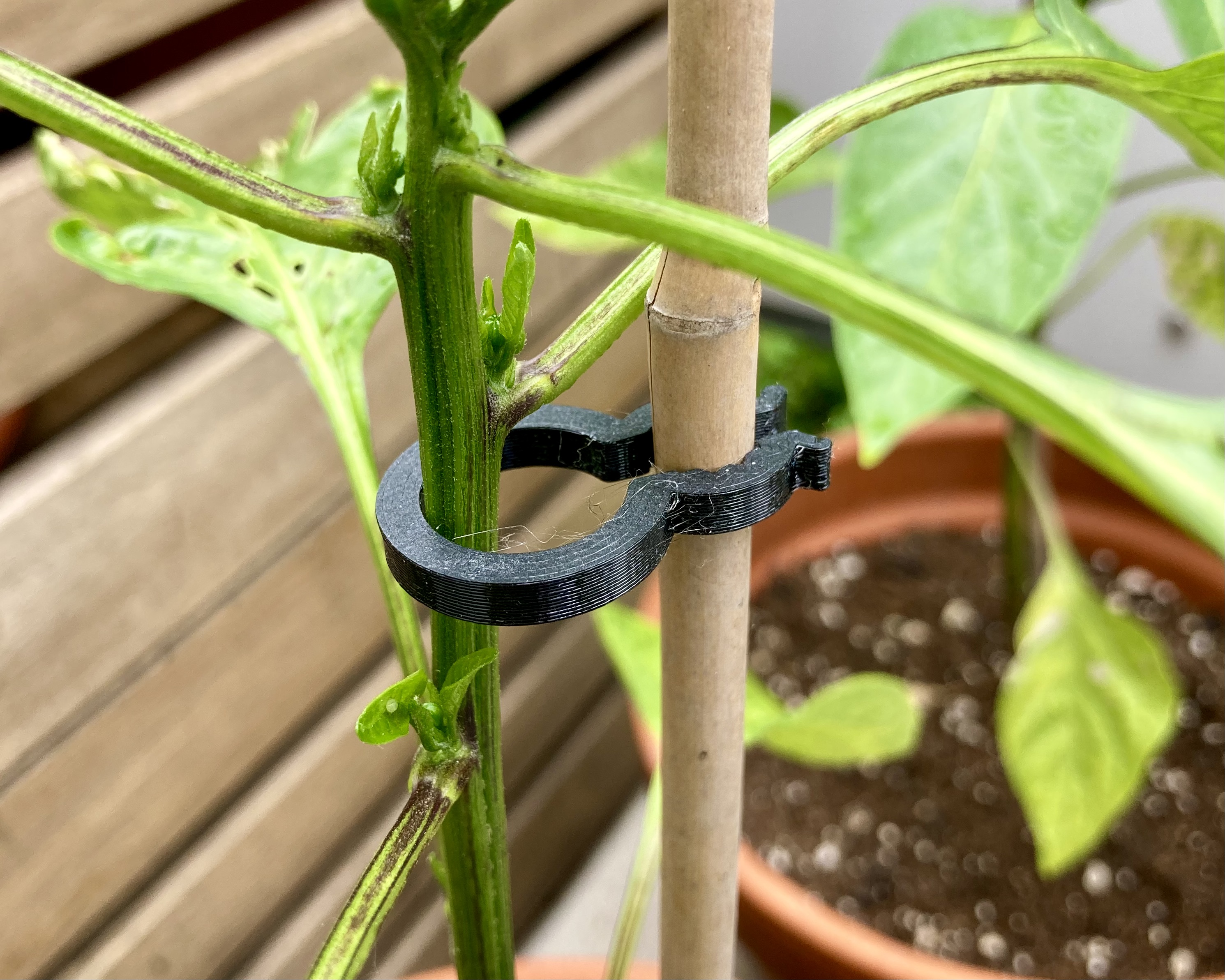 Plant Clip - photo 2
