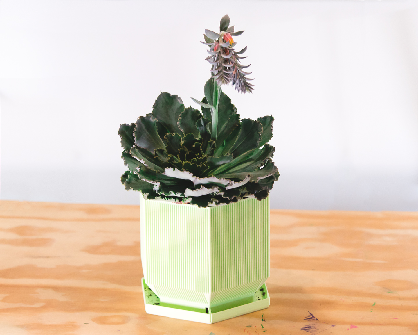 hexagonal planter v2 (vase mode) - photo 2