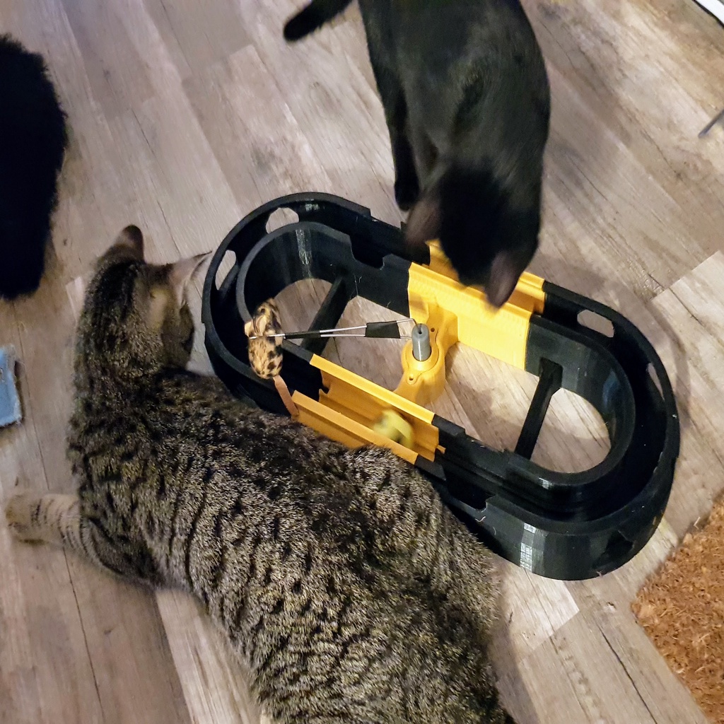 cat toy race track V2
