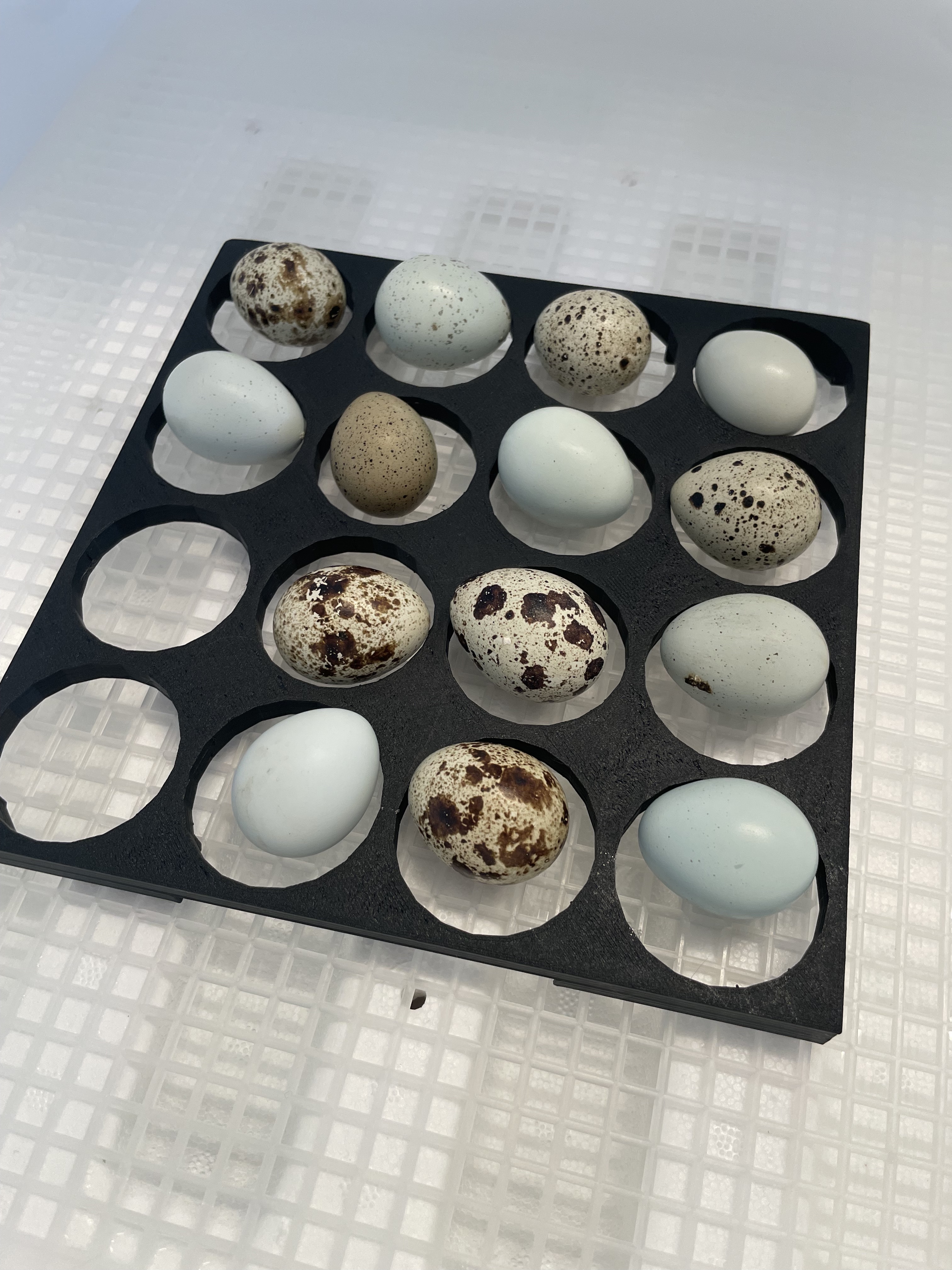 Quail Egg Turning Tray - photo 3