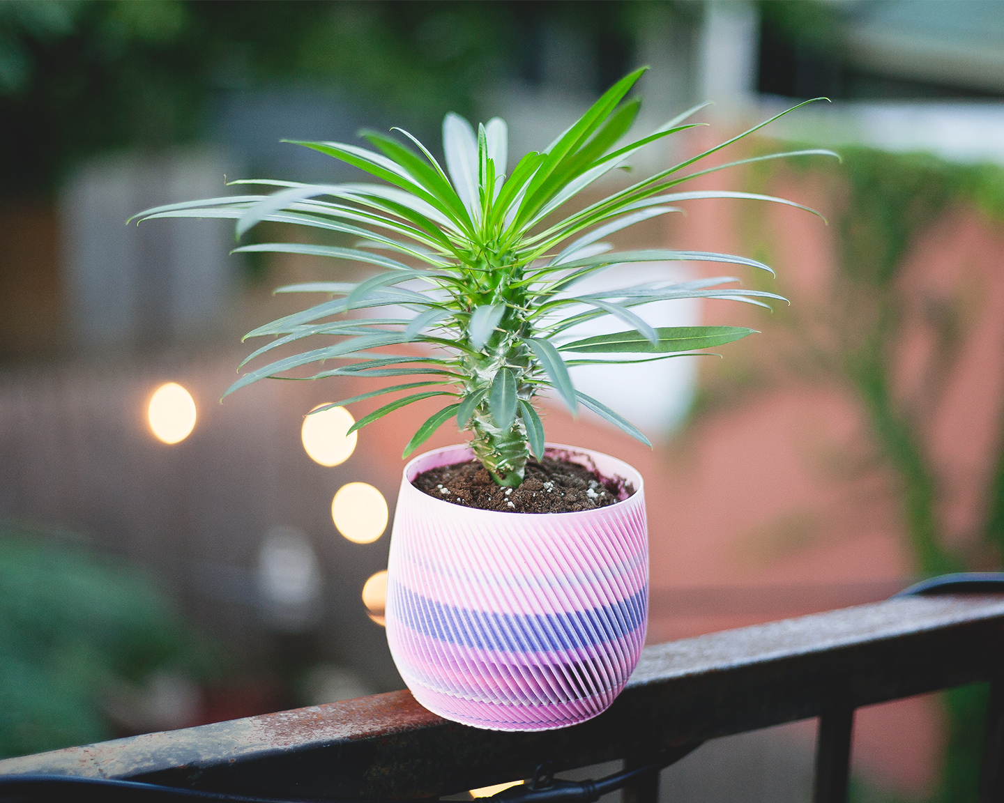 spiral planter with drainage (vase mode) - photo 4