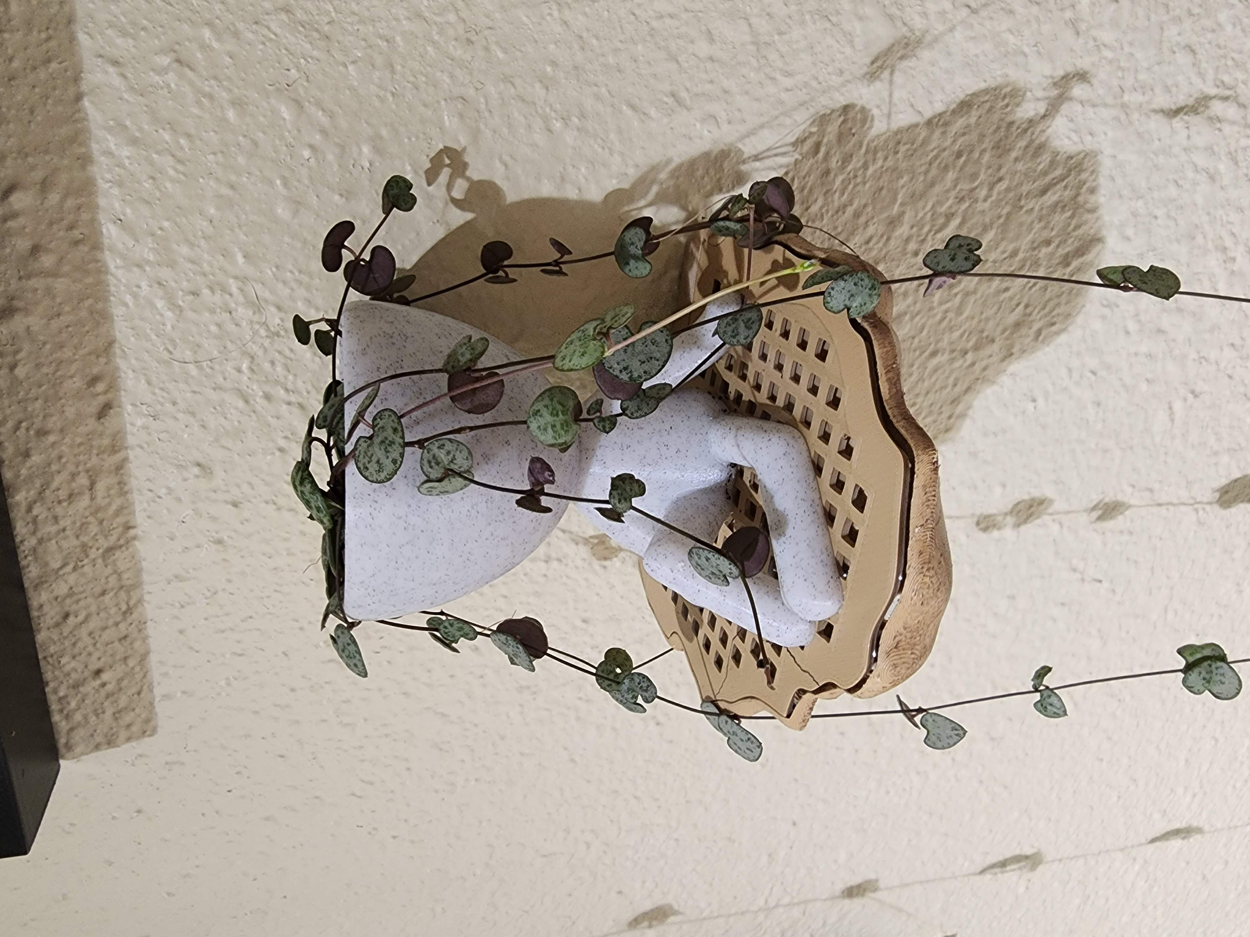 Floating Shelf Mushroom with drainage grate for plants - photo 2