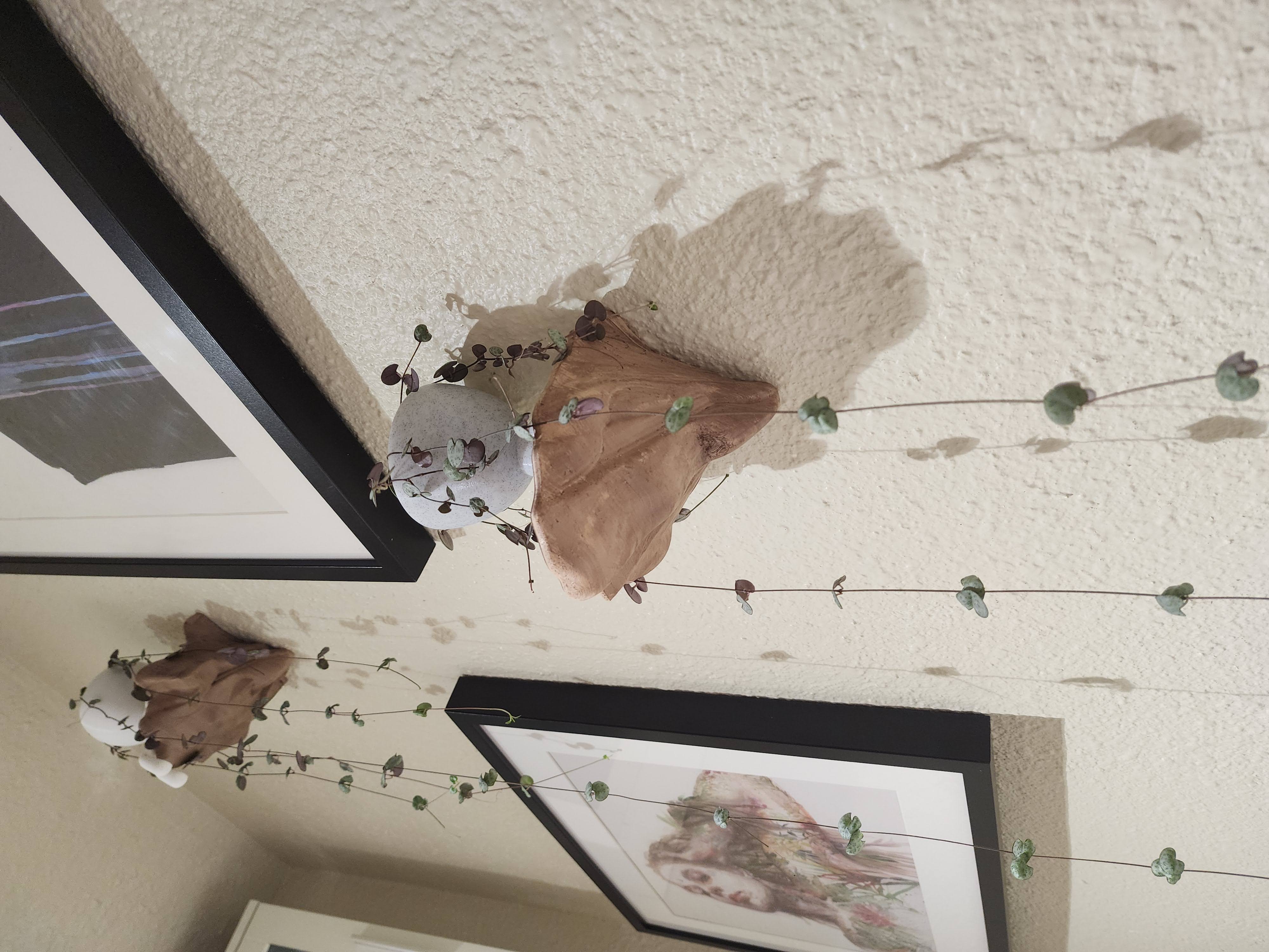 Floating Shelf Mushroom with drainage grate for plants - photo 3