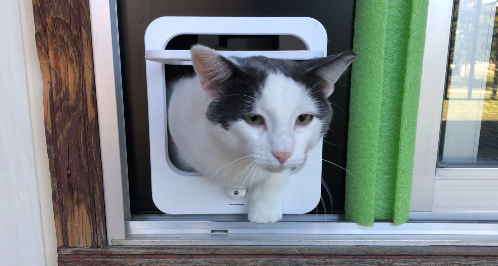 Pet Door with 4-Way Latch & Magnetic Door Return V1