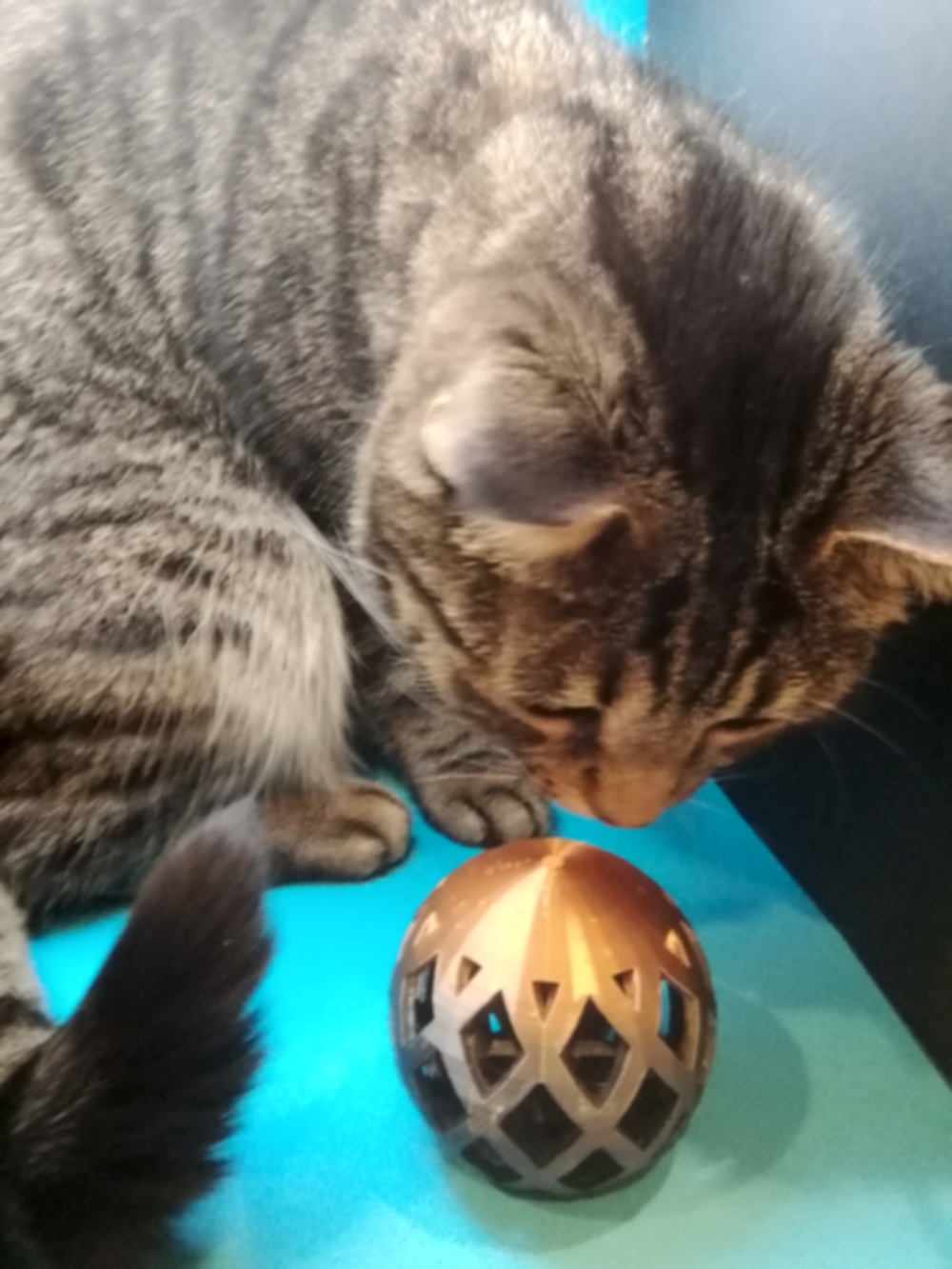 Cat toy - photo 3