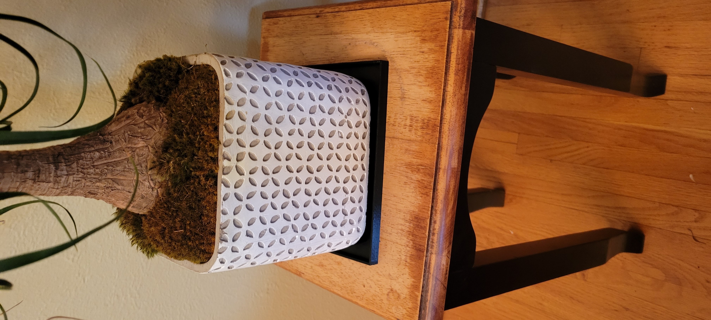 Plant Tray