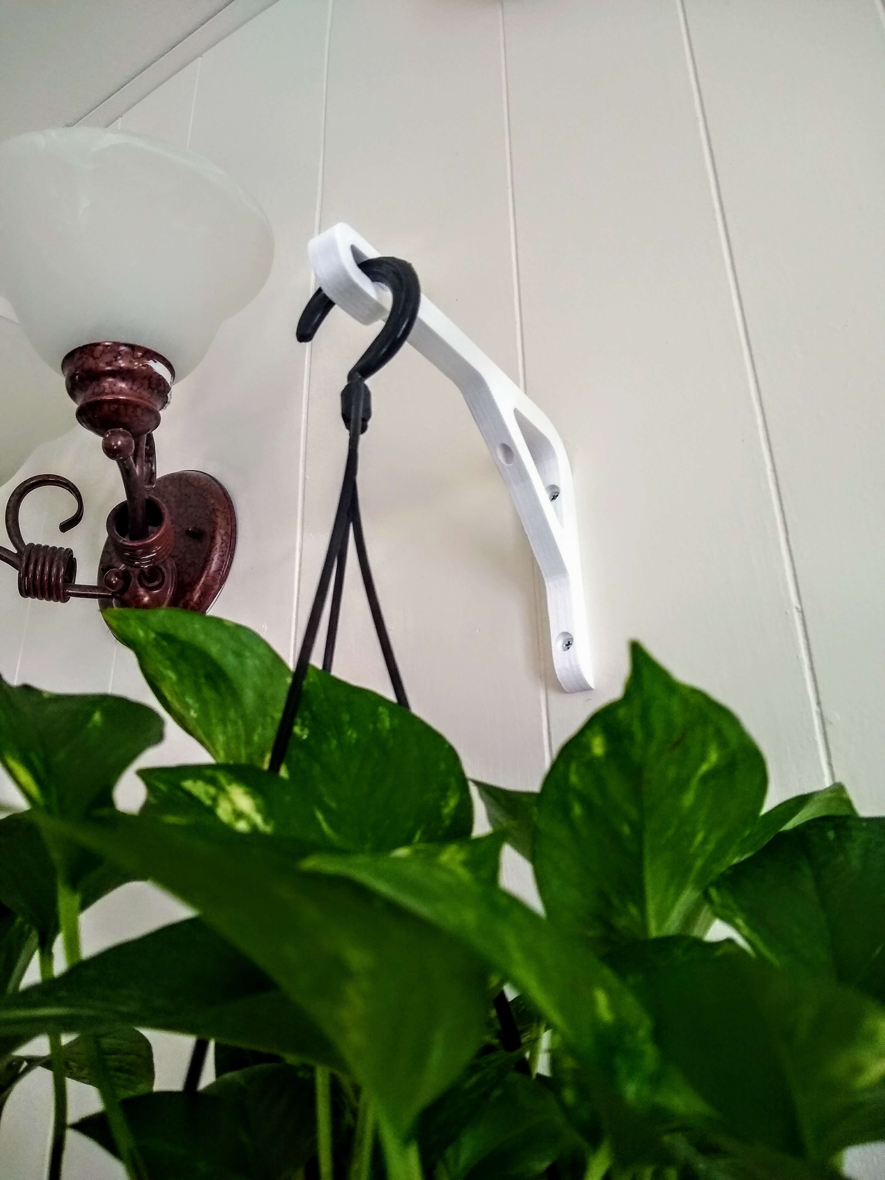 Plant Hanger - Bracket & Ring