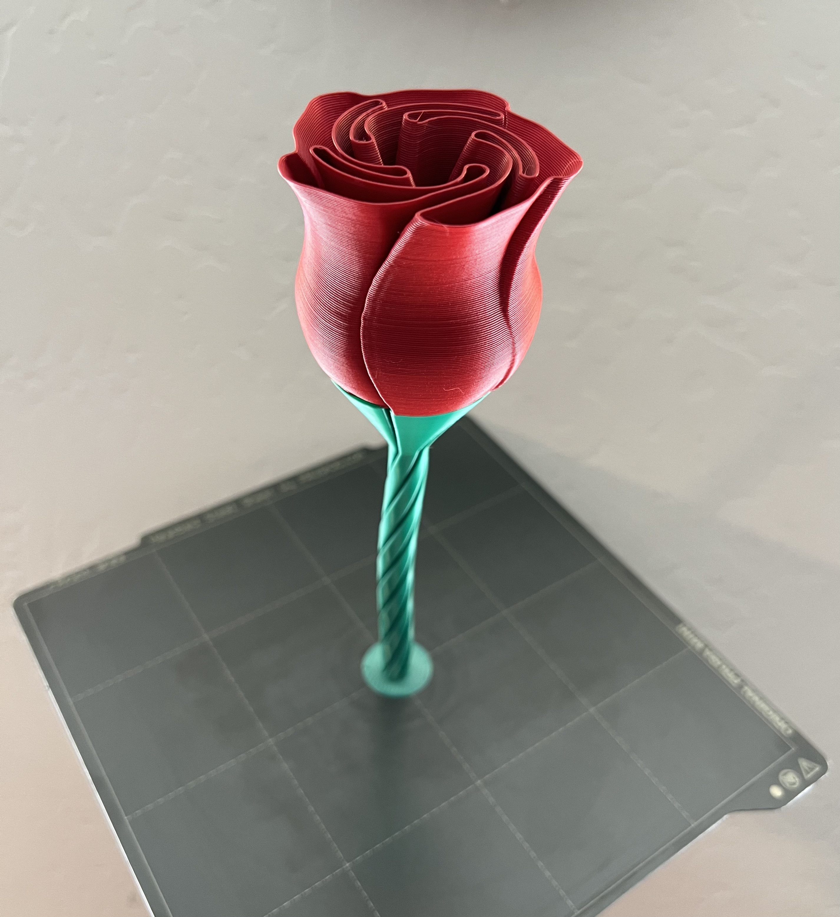 Complete Vase Rose Remix