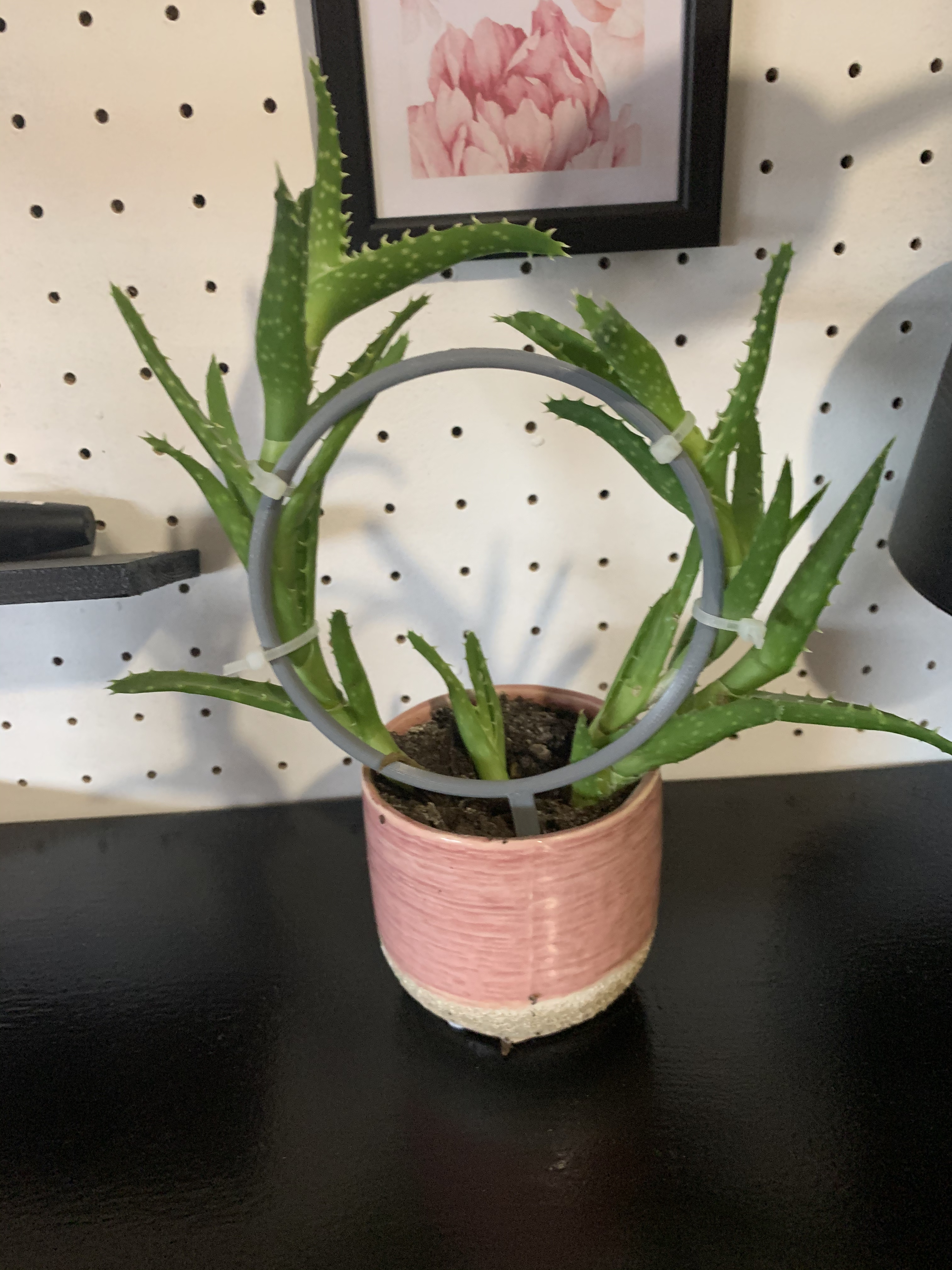 Garden Plant Support – Plant Support Hoops - photo 2