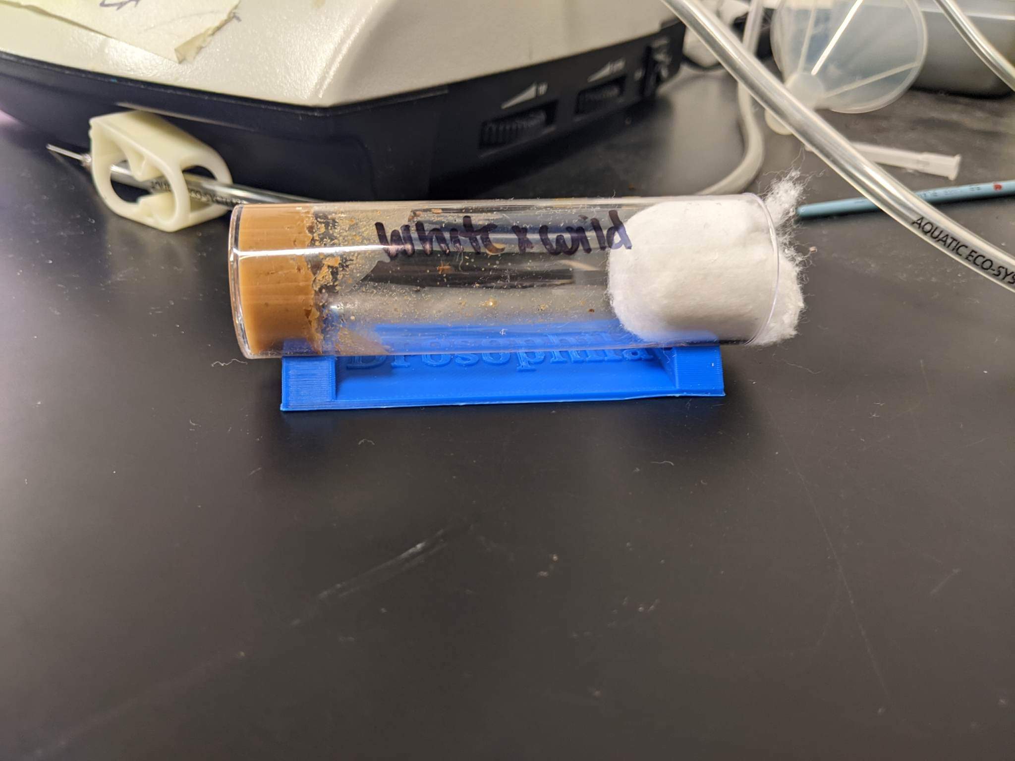 Drosophila / Fruit fly tube tray
