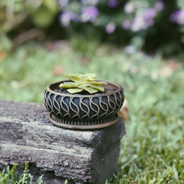 Suculent Planter / Maceta para Suculentas - photo 2