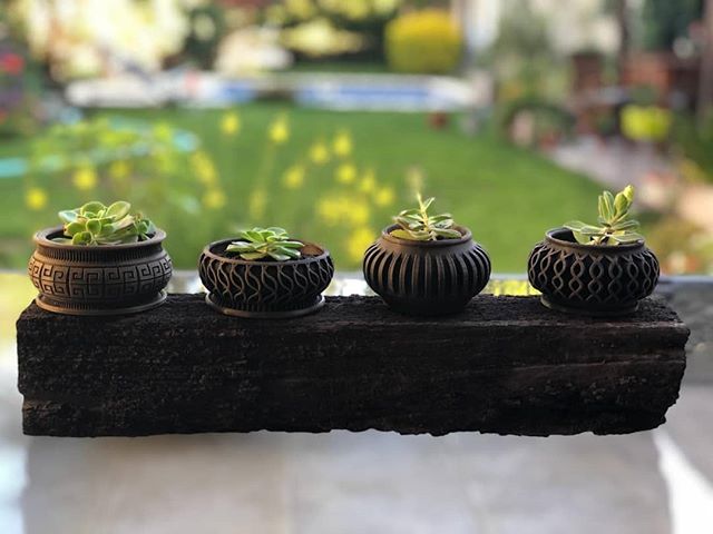 Suculent Planter / Maceta para Suculentas - photo 3