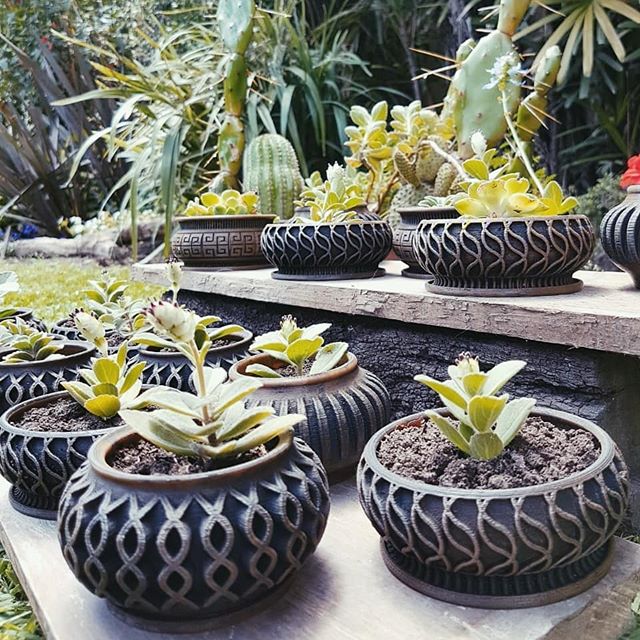 Suculent Planter / Maceta para Suculentas