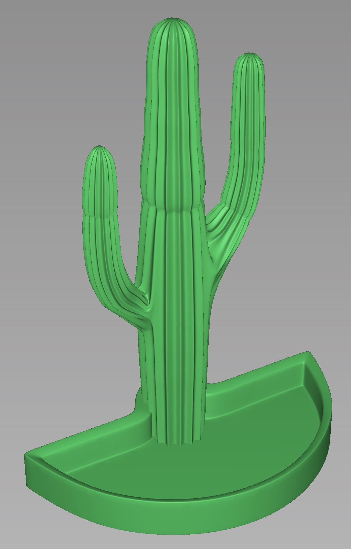 Saguaro Cactus with tray - photo 2