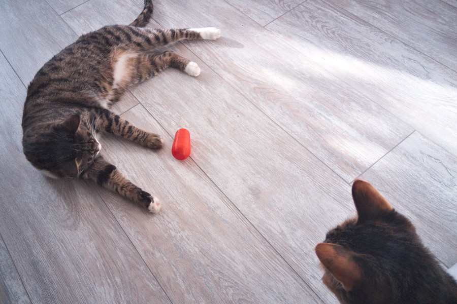 Conical Roller — cat toy
