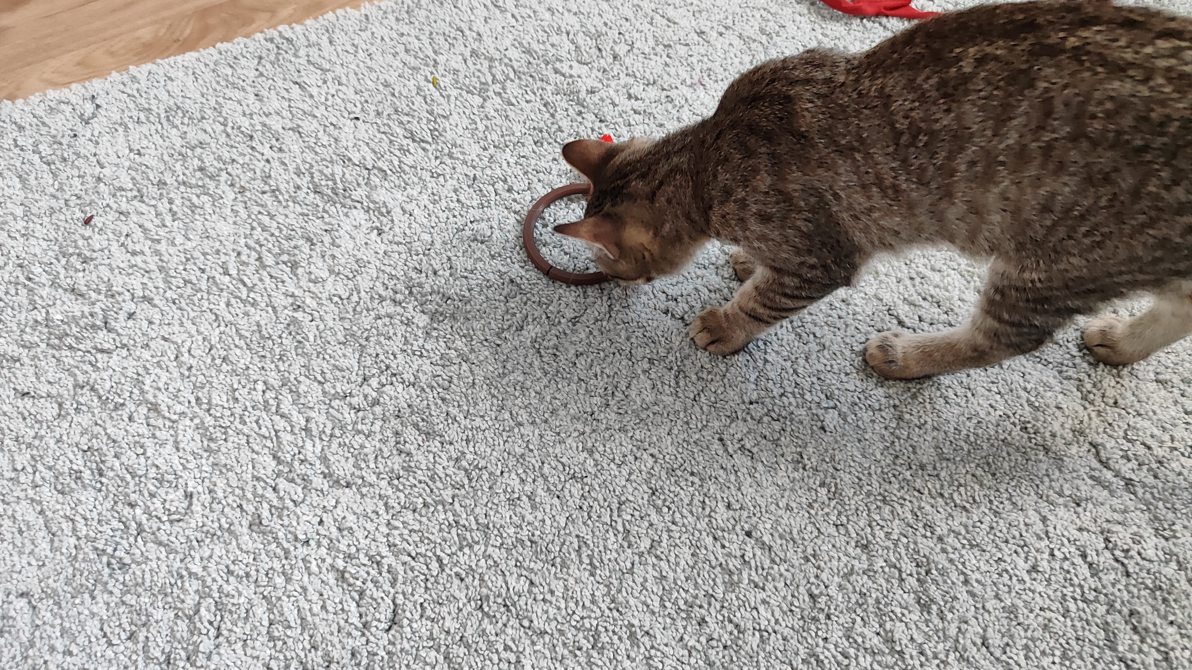 mouse cat toy - photo 2
