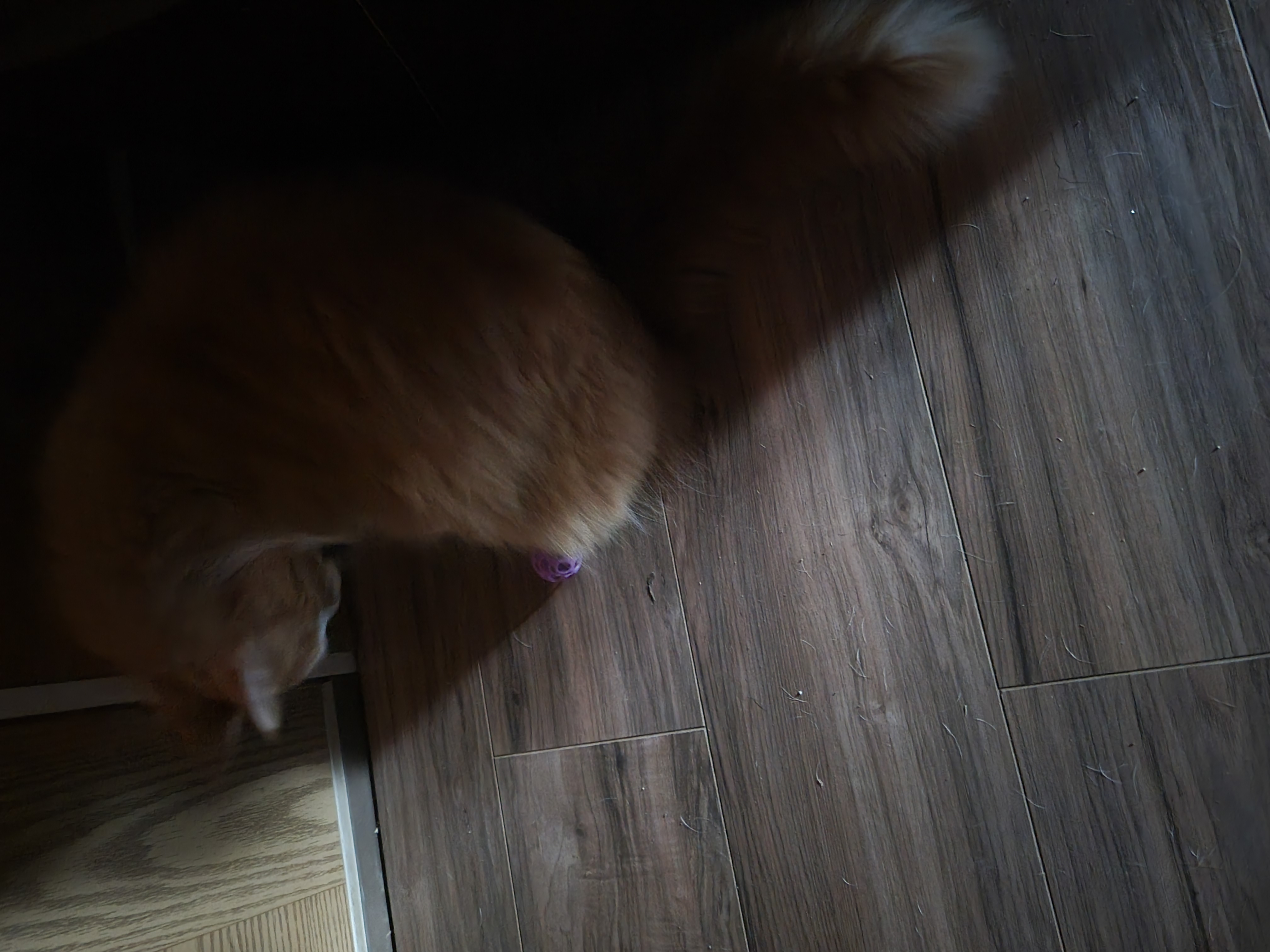 cat toy - photo 2