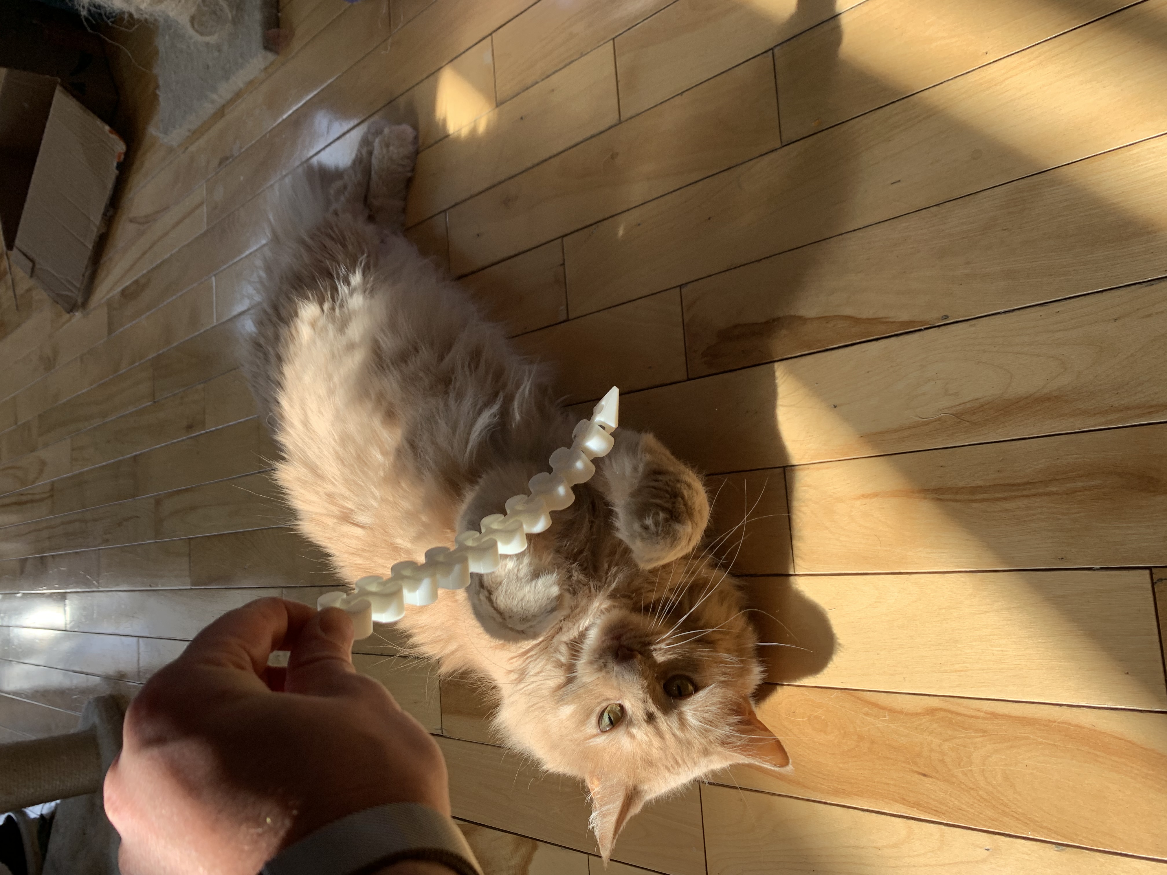 Cat Toy Chain ( Print in place) - photo 2