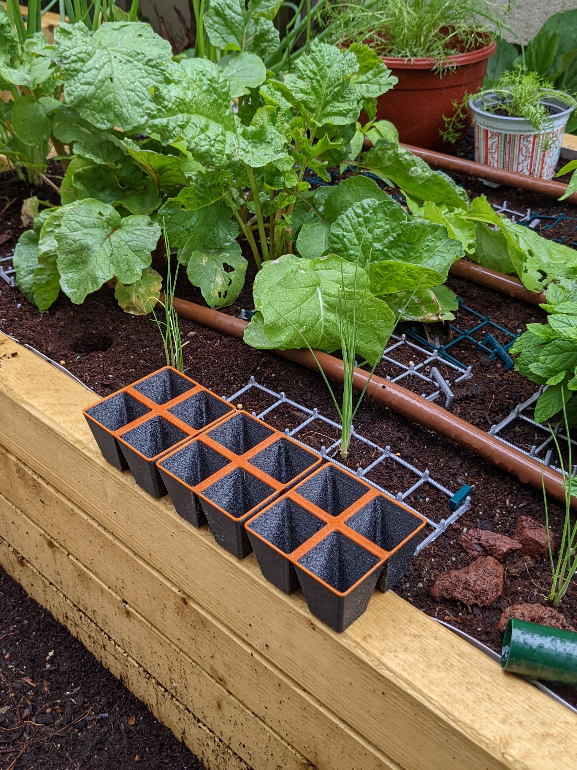 Seedling Tray - photo 2