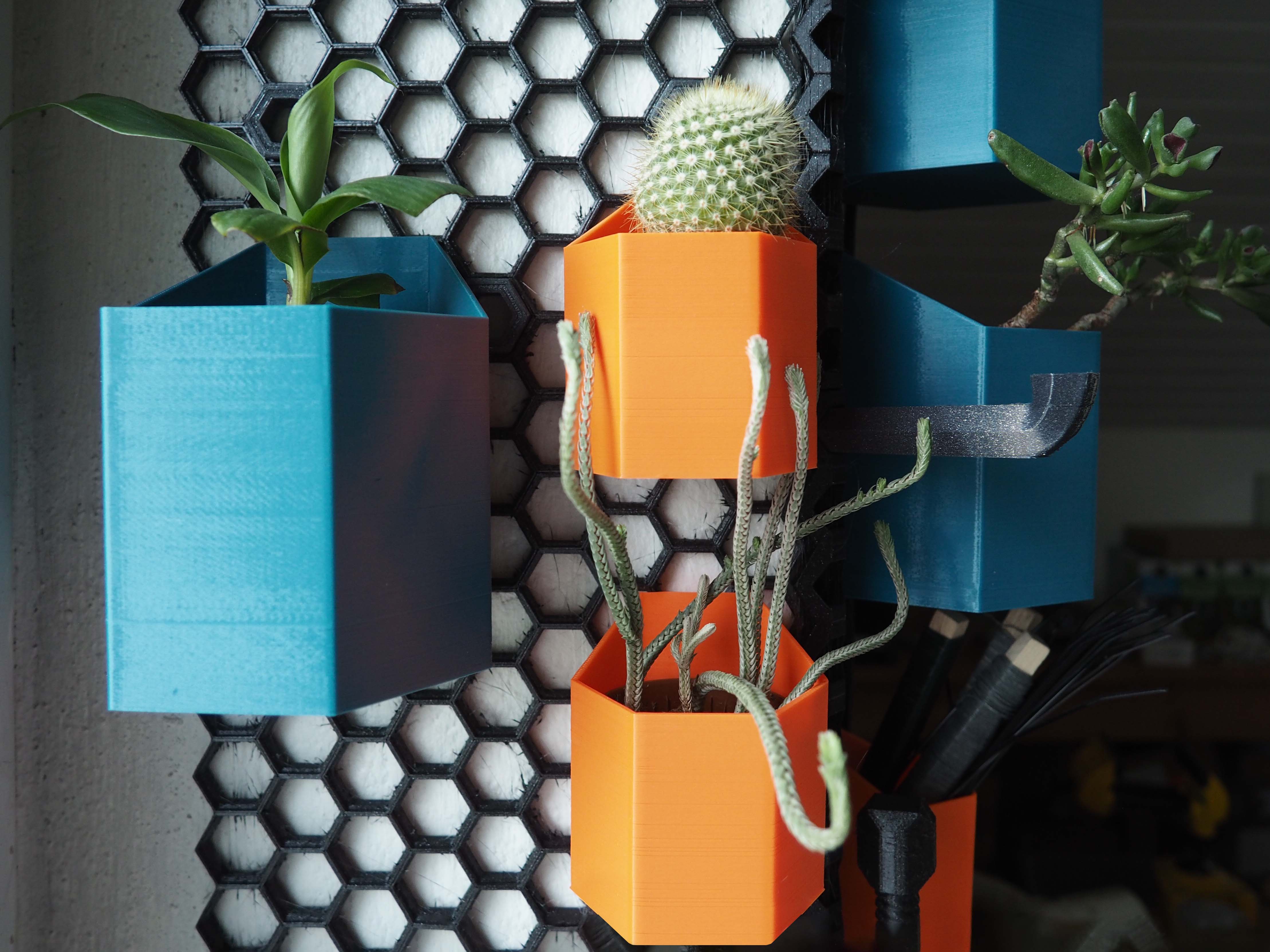 Hexagonal Containers for Honeycomb Storage Wall - photo 2