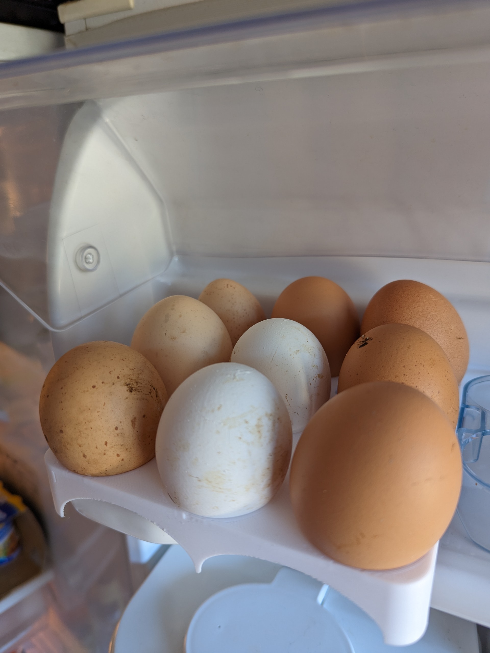 Egg tray, 9 eggs - photo 4