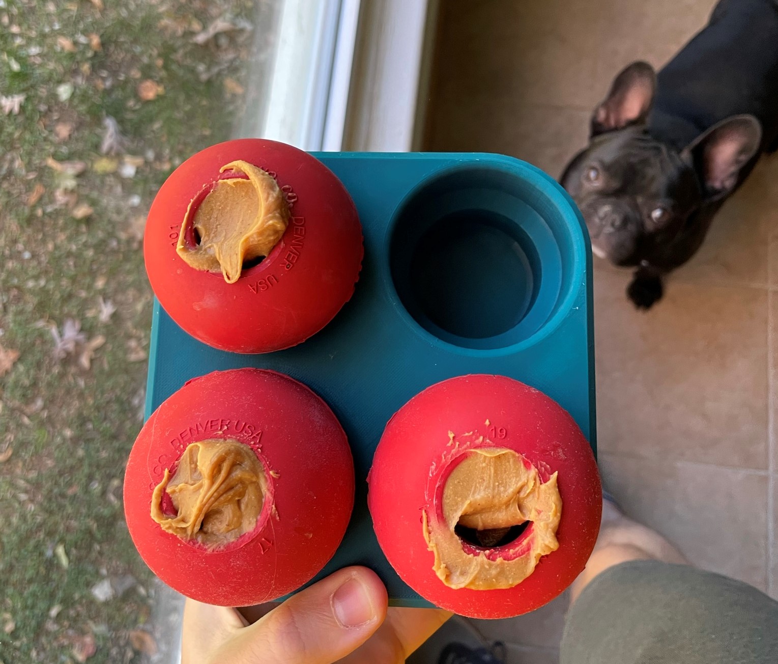 Kong Dog Toy Freezer Tray (Large Kong)