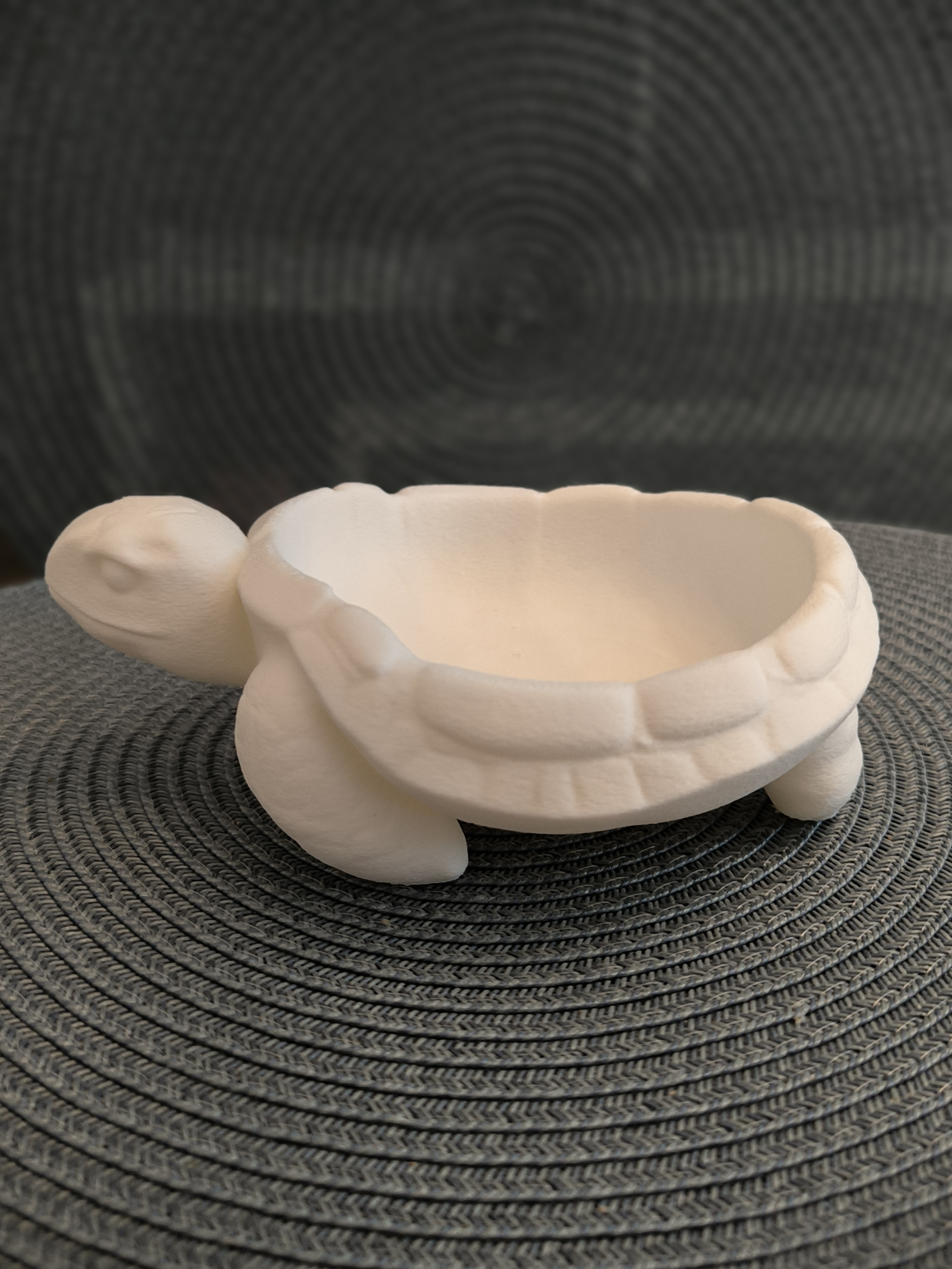Turtle Tray / Bowl