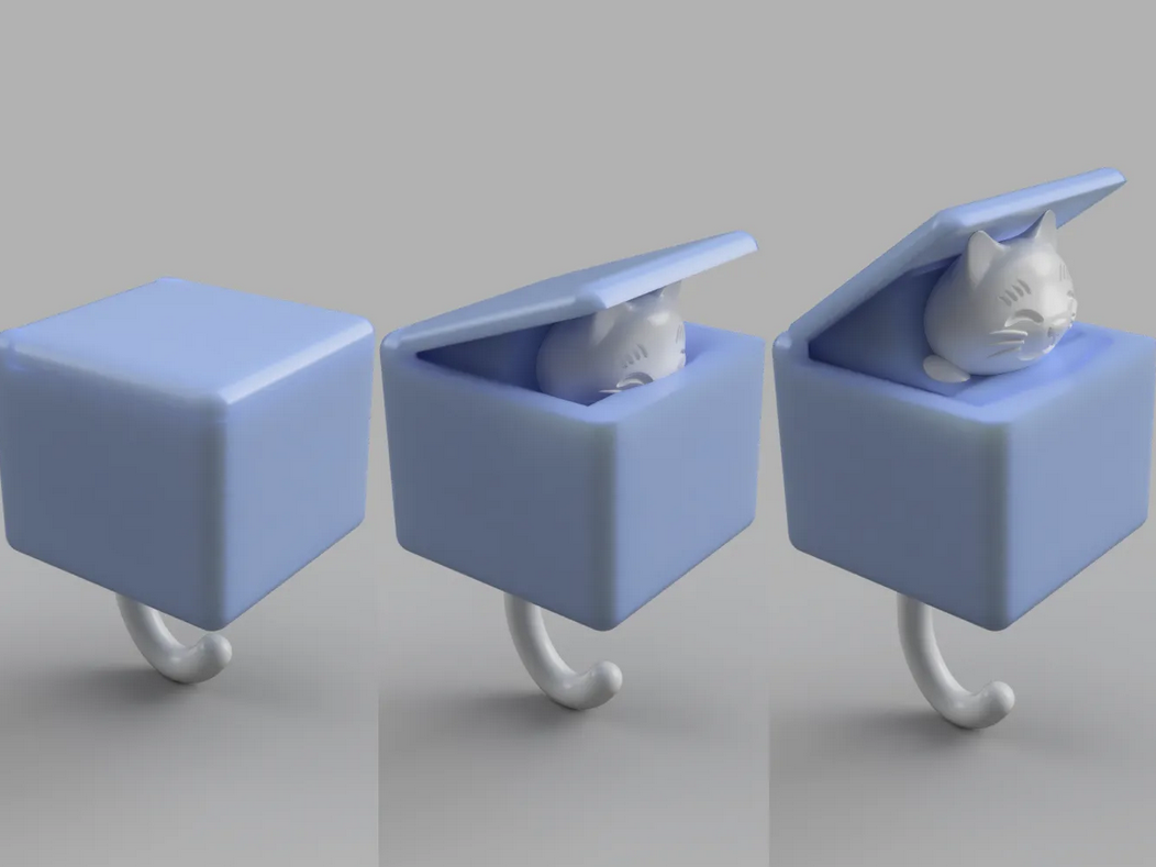 Fixed Box Cat key hook