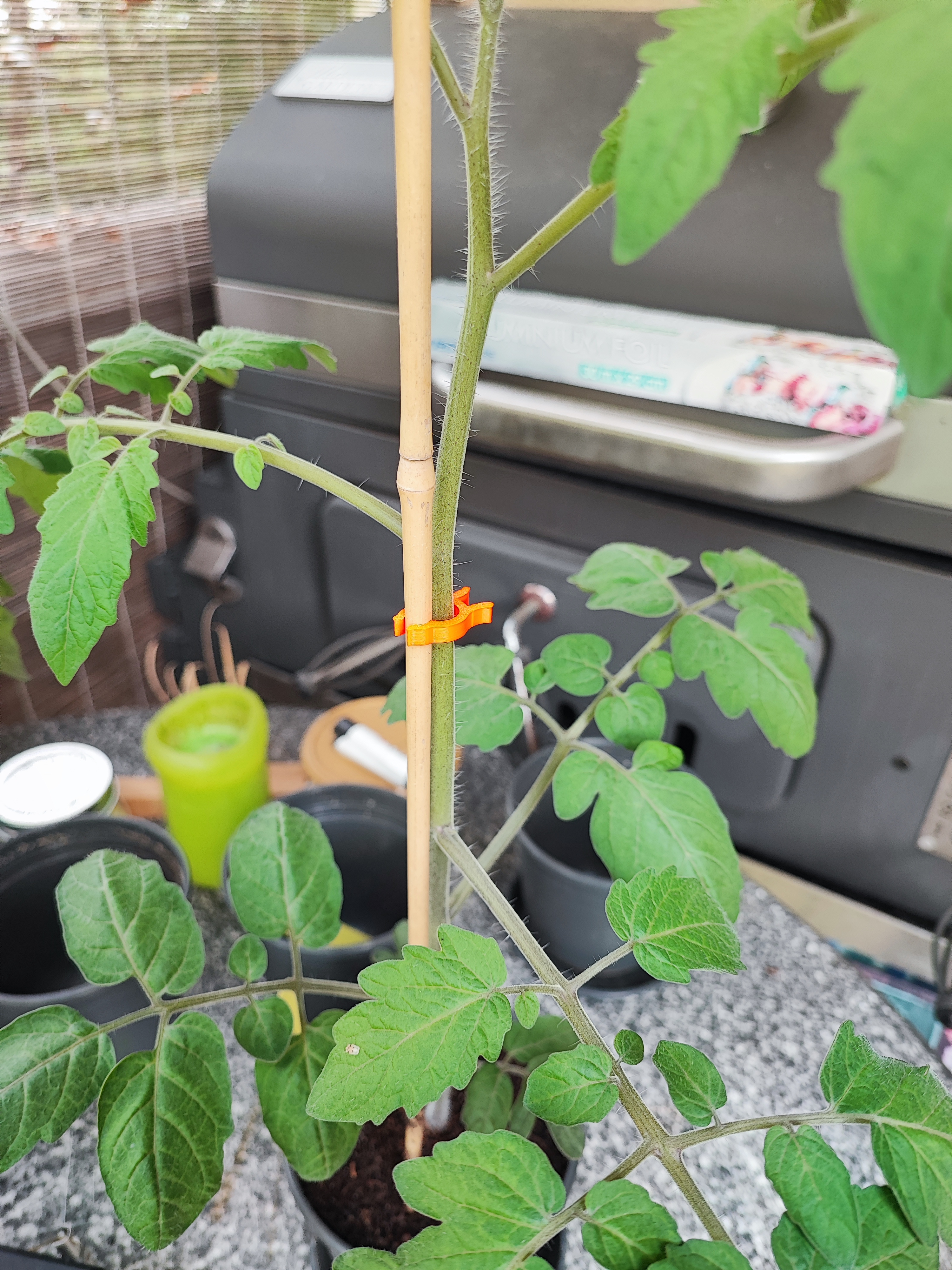Plant Clip (small and big) - photo 3