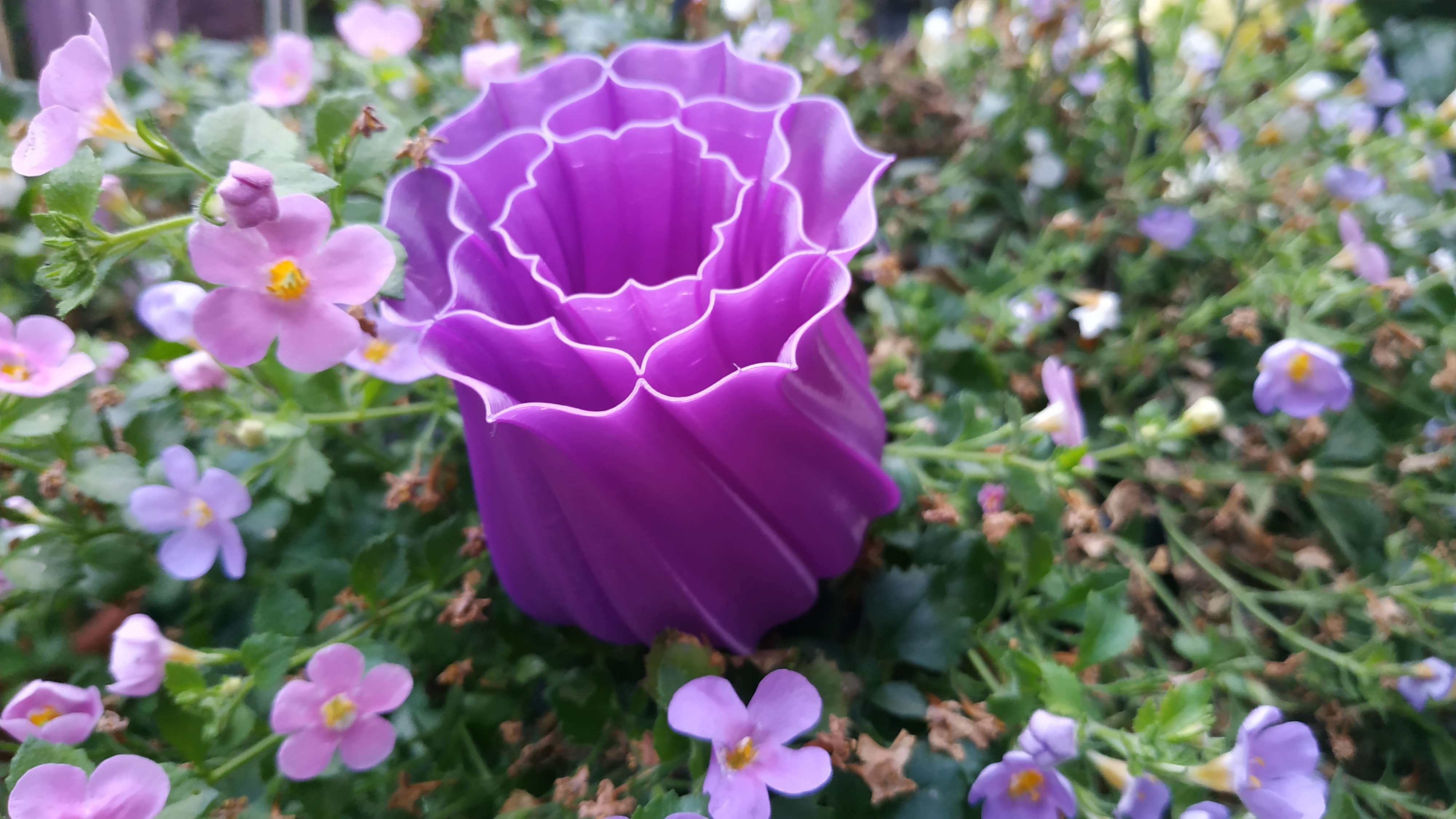 Vase mode flower