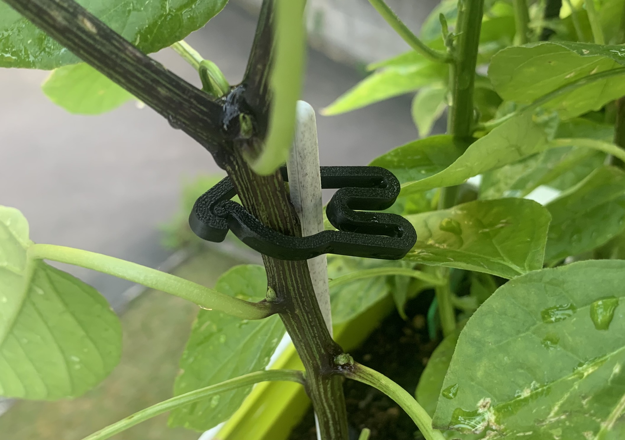 Small Simple Clip Plant / Cable D15mm