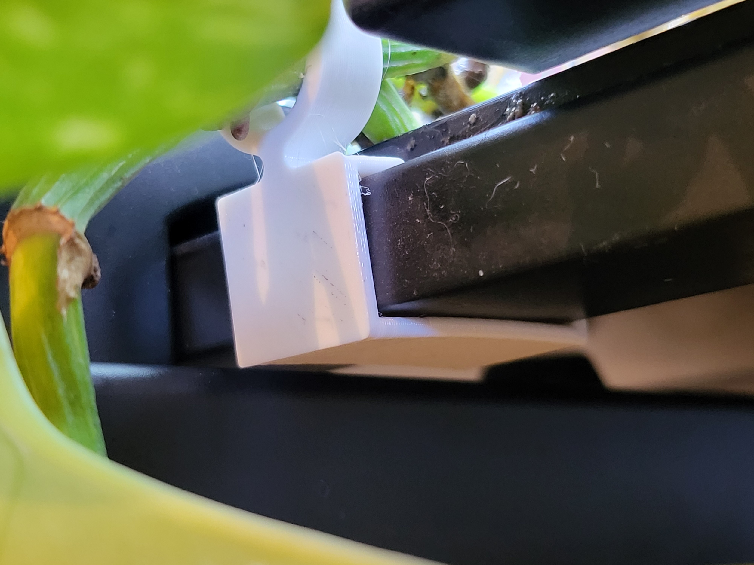 Fish Tank Plant Clip - photo 2